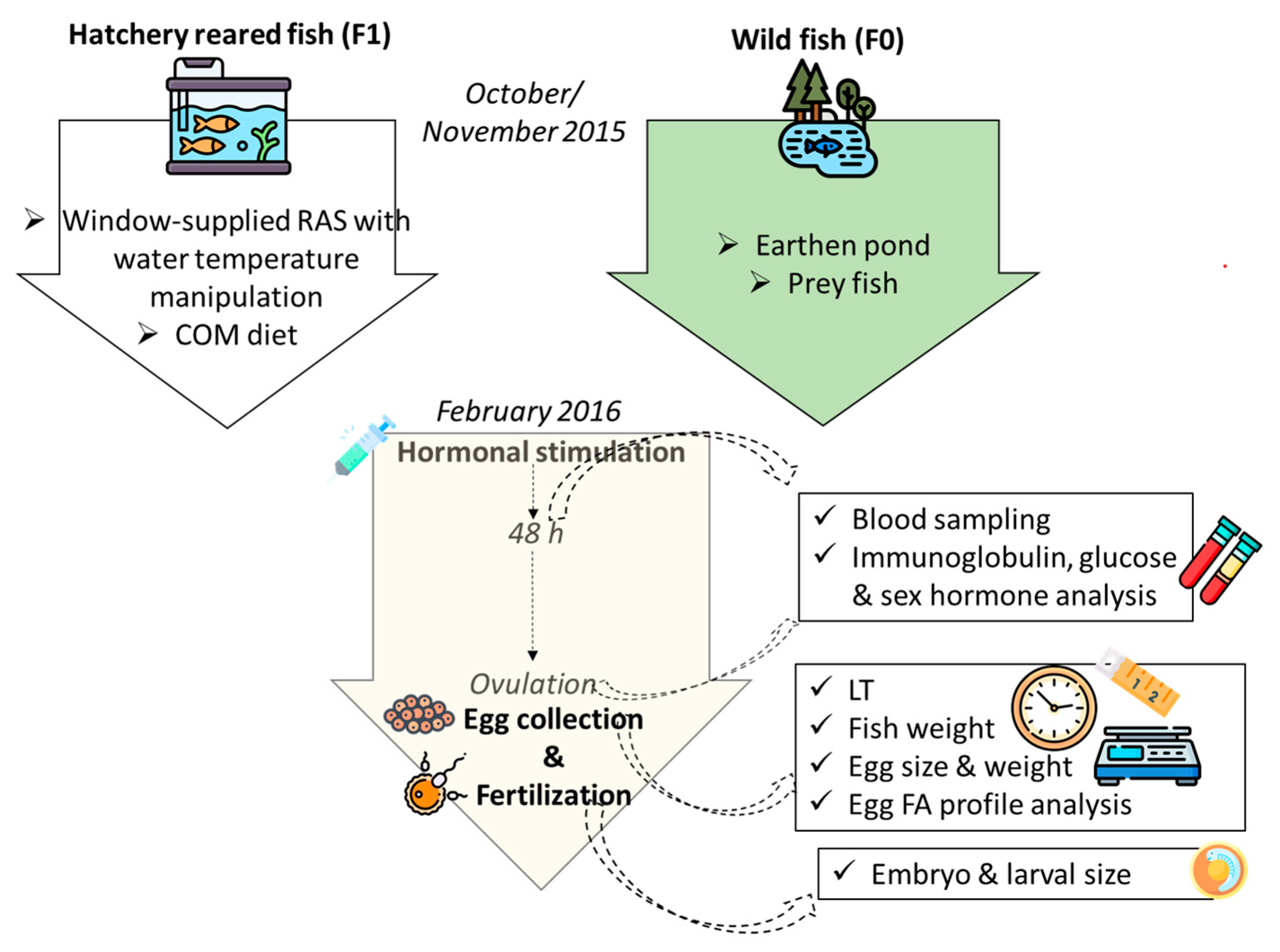 Fishes 08 00219 g001 Fishes 08 00219 g001