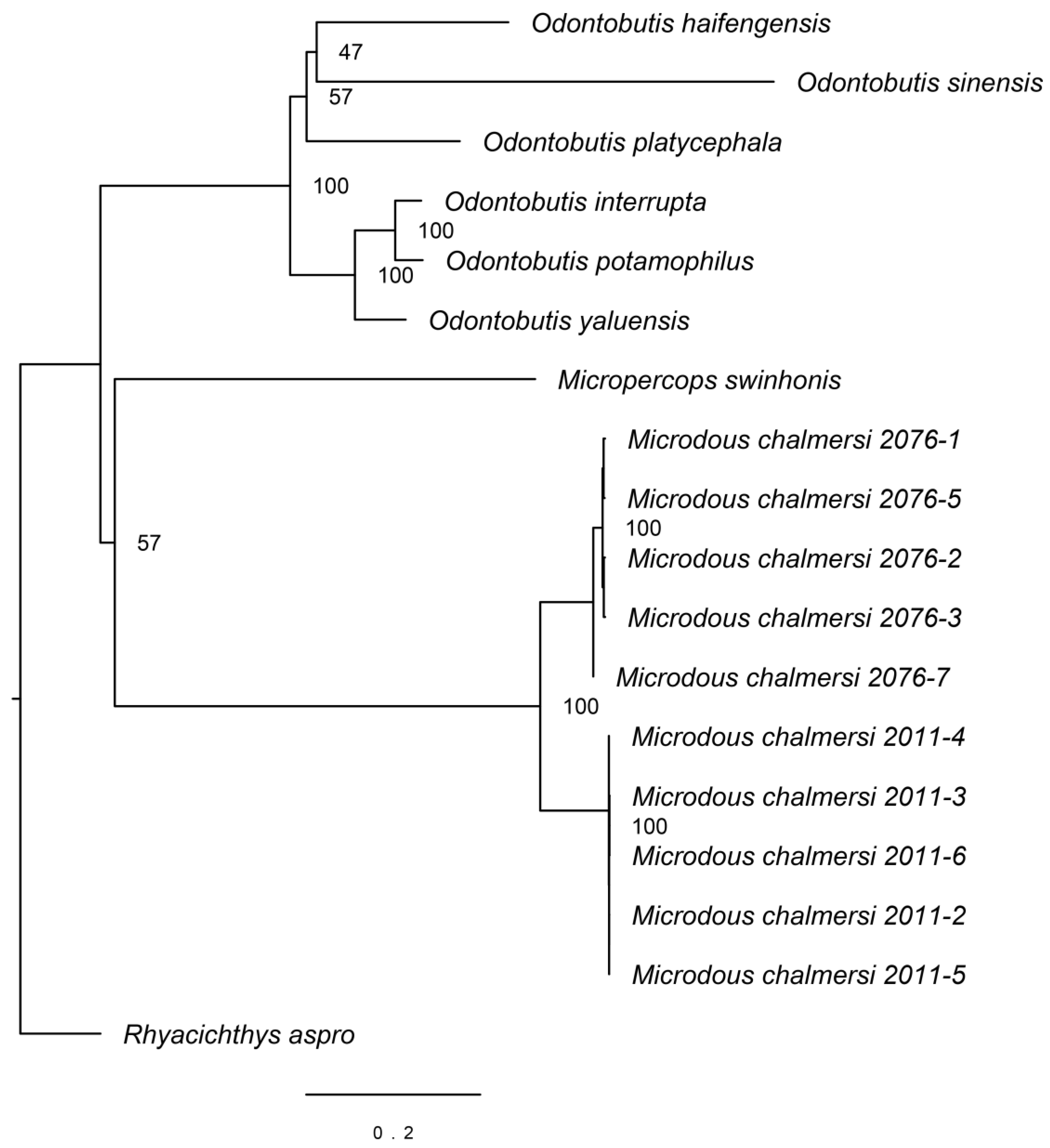 Fishes 08 00228 g003 Fishes 08 00228 g003
