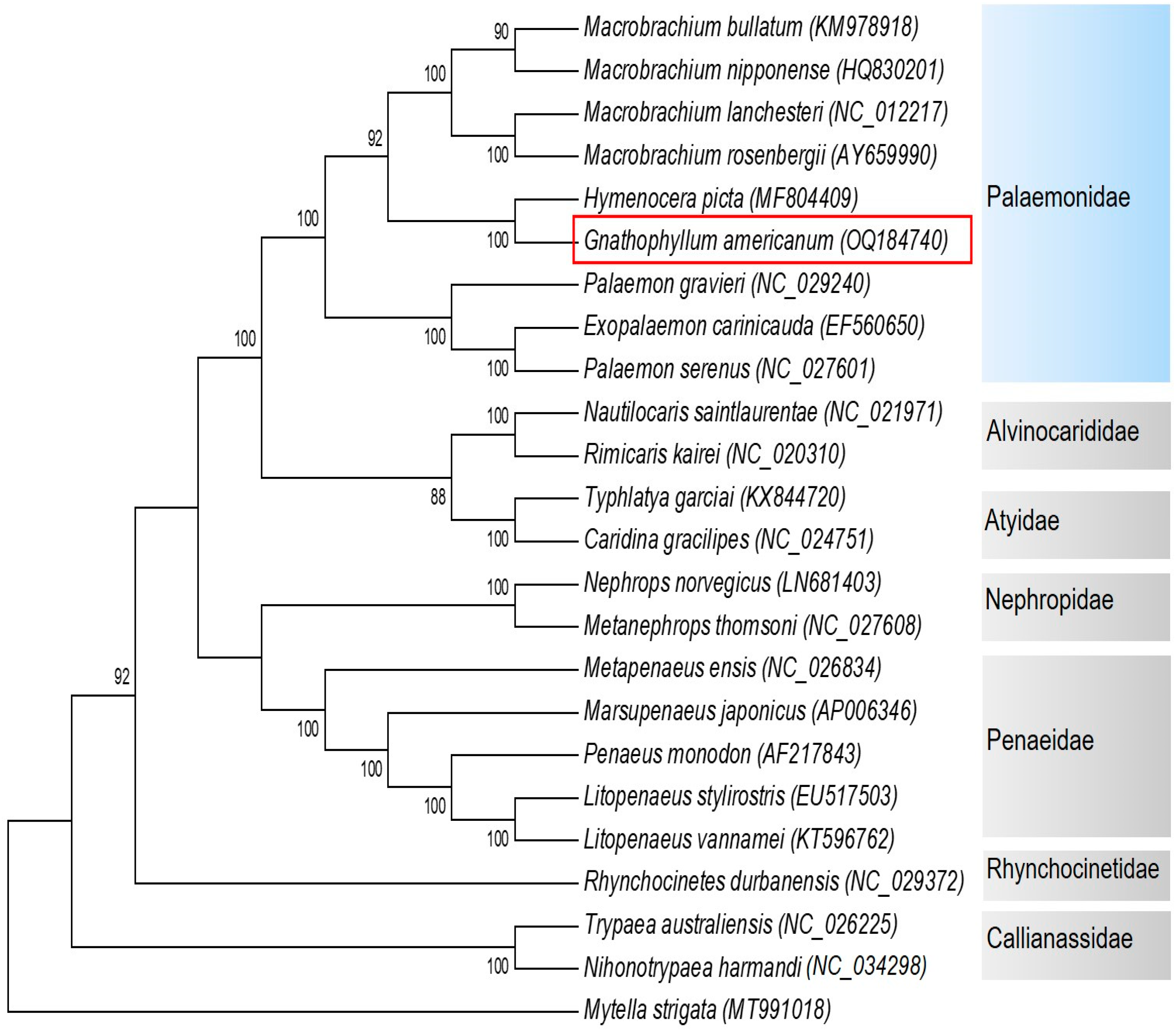 Fishes 08 00238 g005 Fishes 08 00238 g005