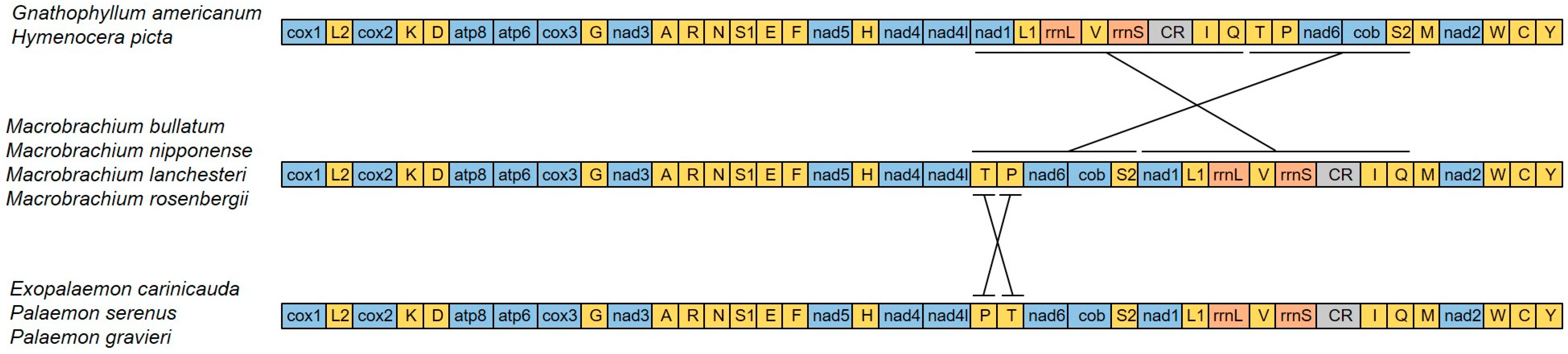 Fishes 08 00238 g006 Fishes 08 00238 g006