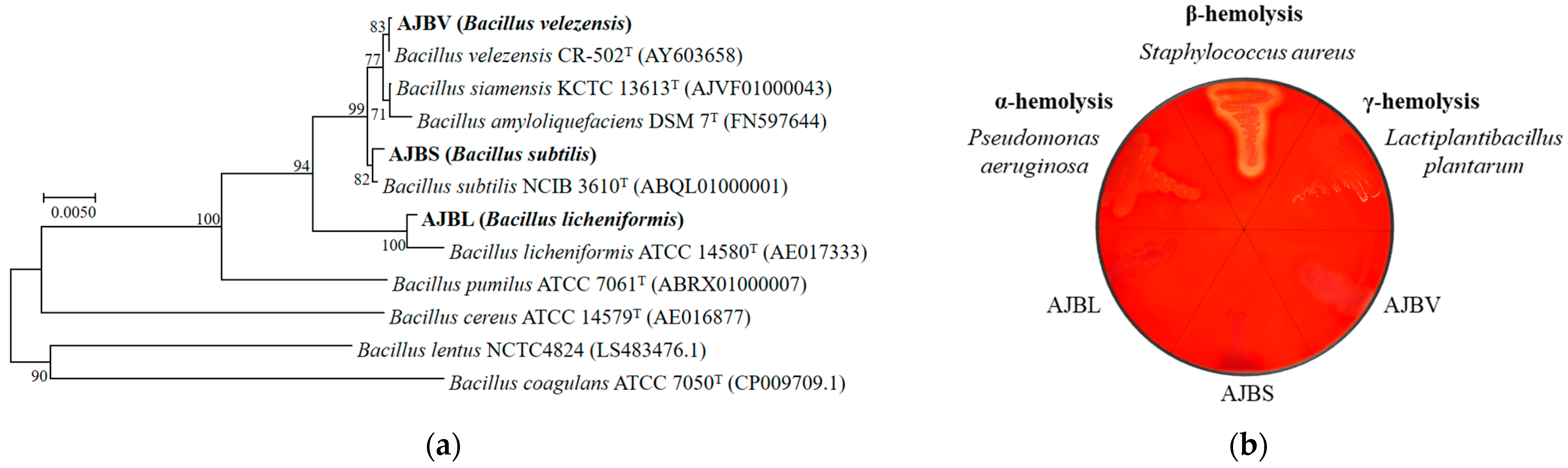 Fishes 08 00247 g001