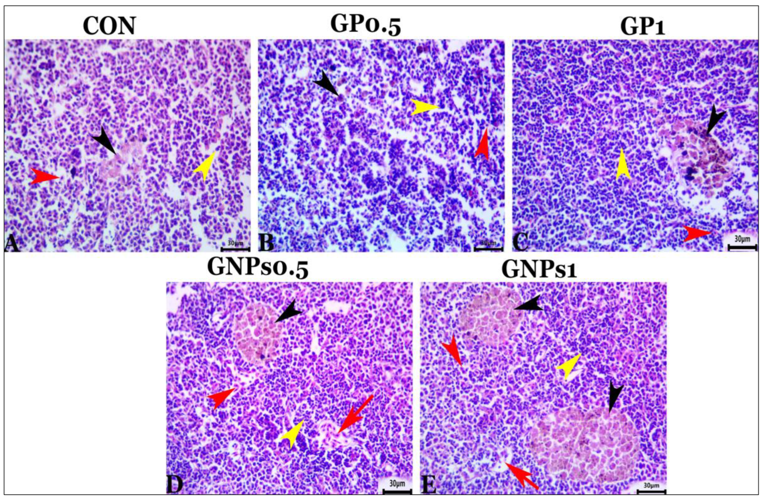 Fishes 08 00259 g003