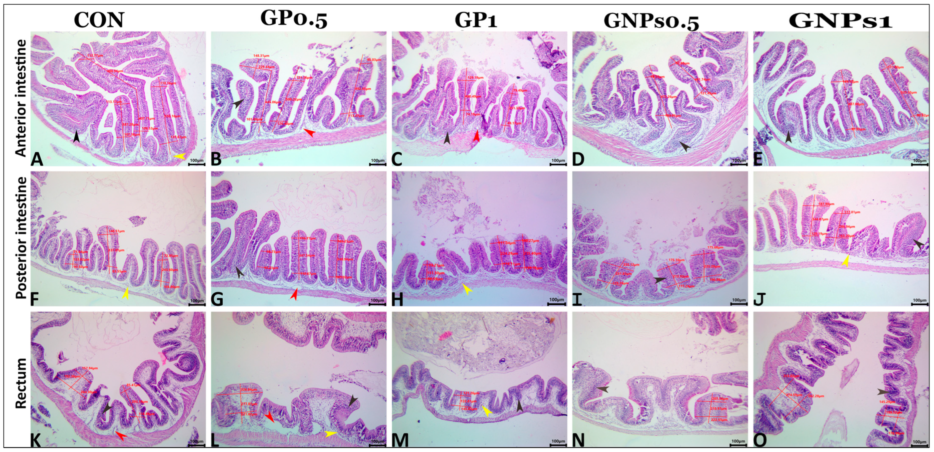 Fishes 08 00259 g006
