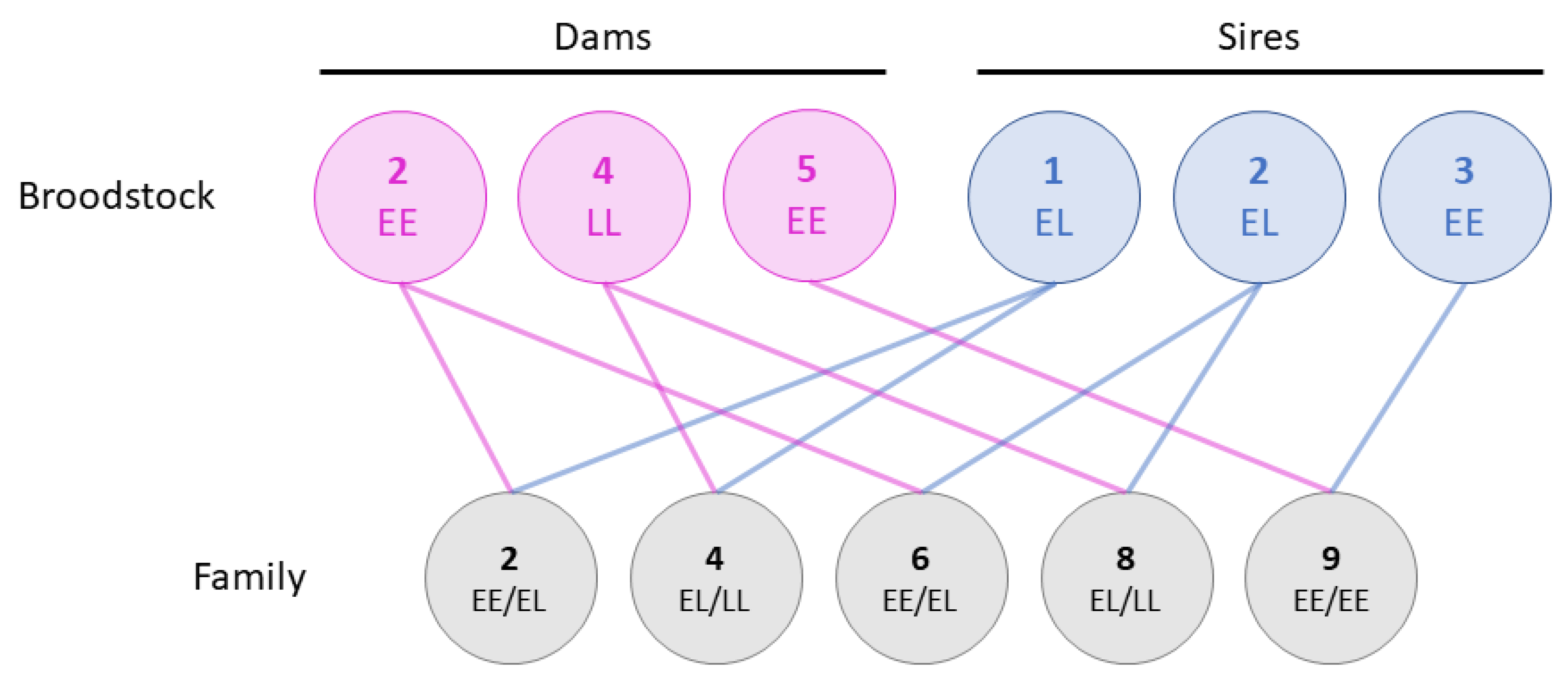 Fishes 08 00275 g001