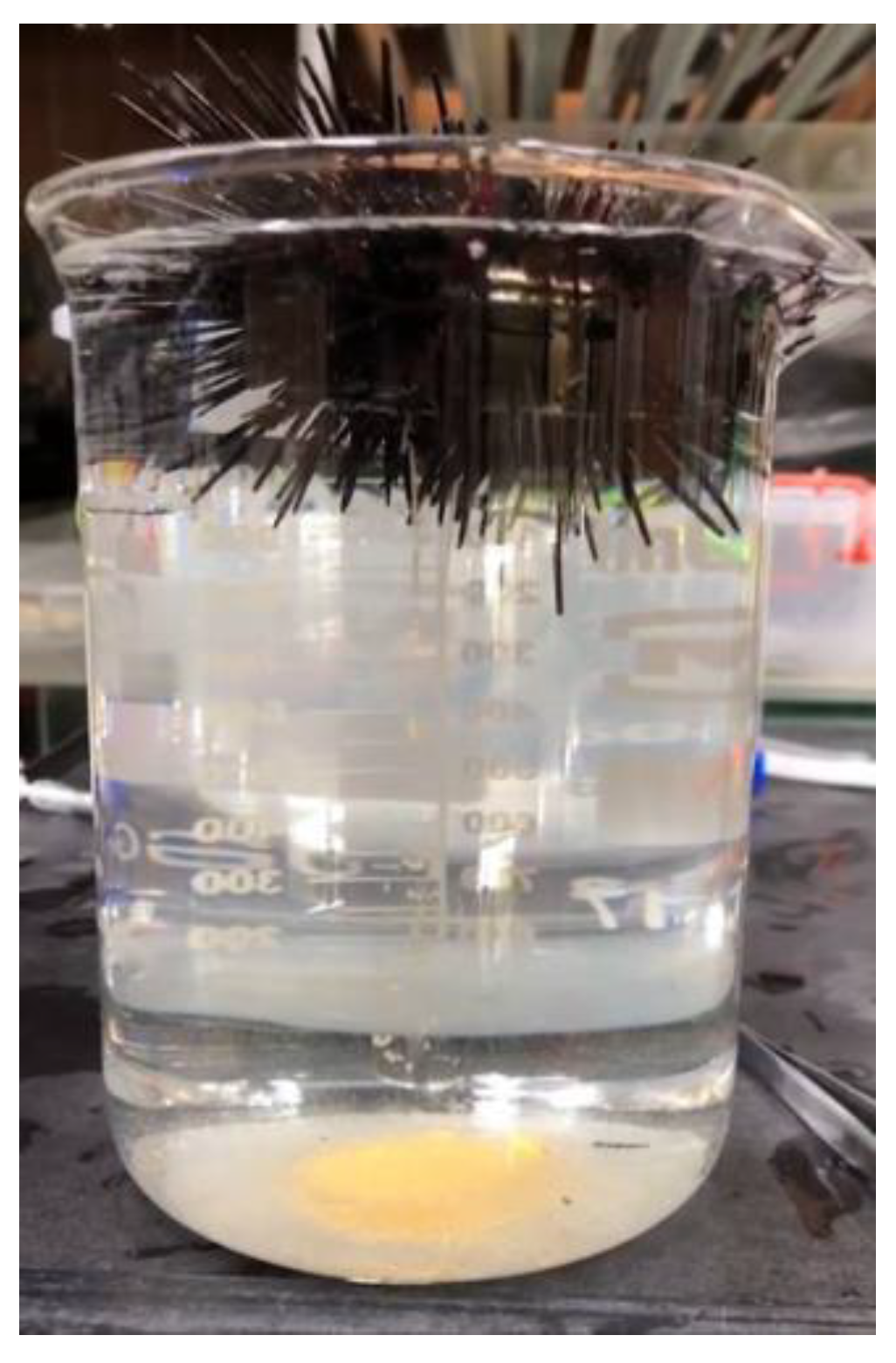 Fishes 08 00278 g001