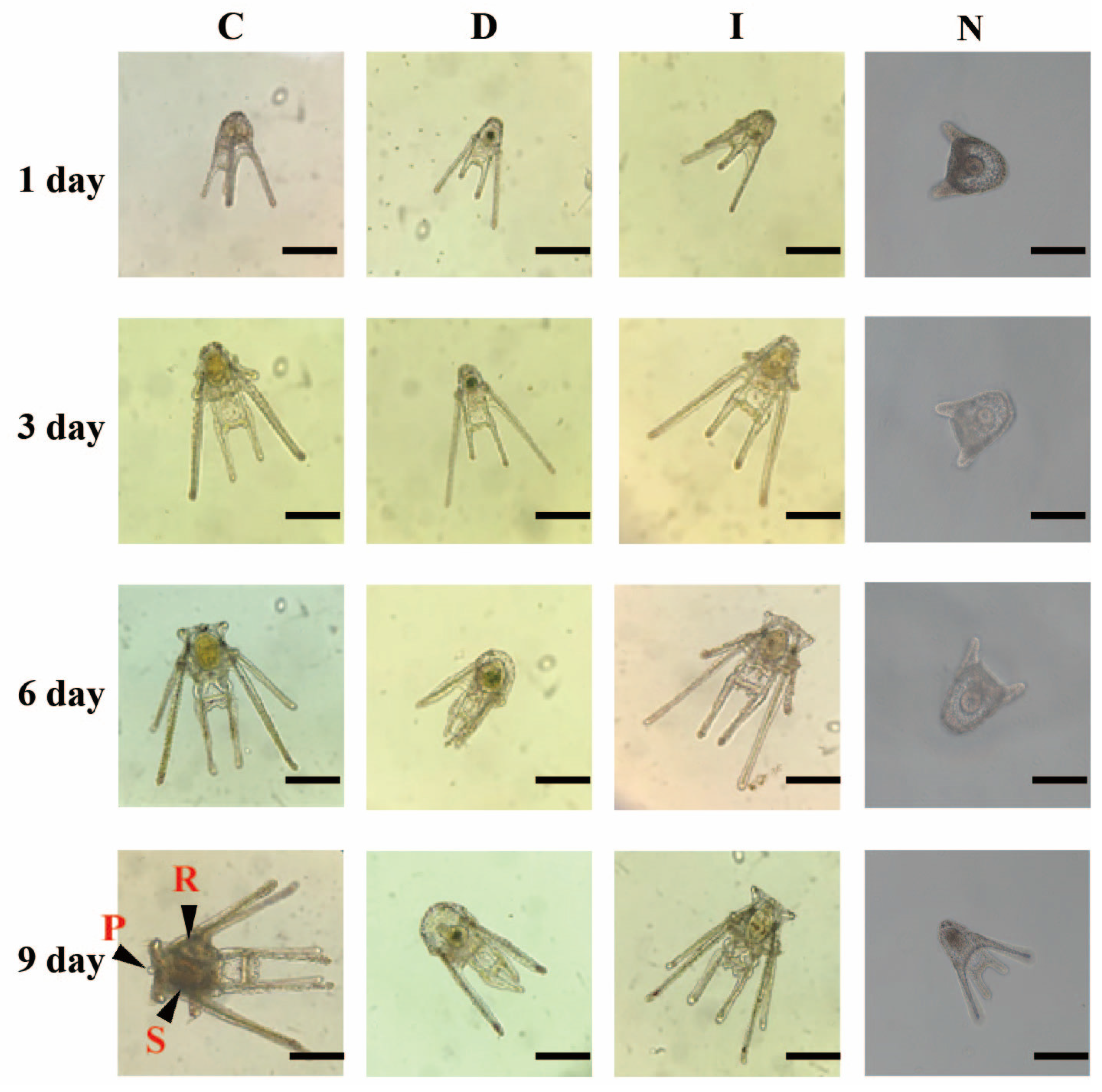 Fishes 08 00278 g007