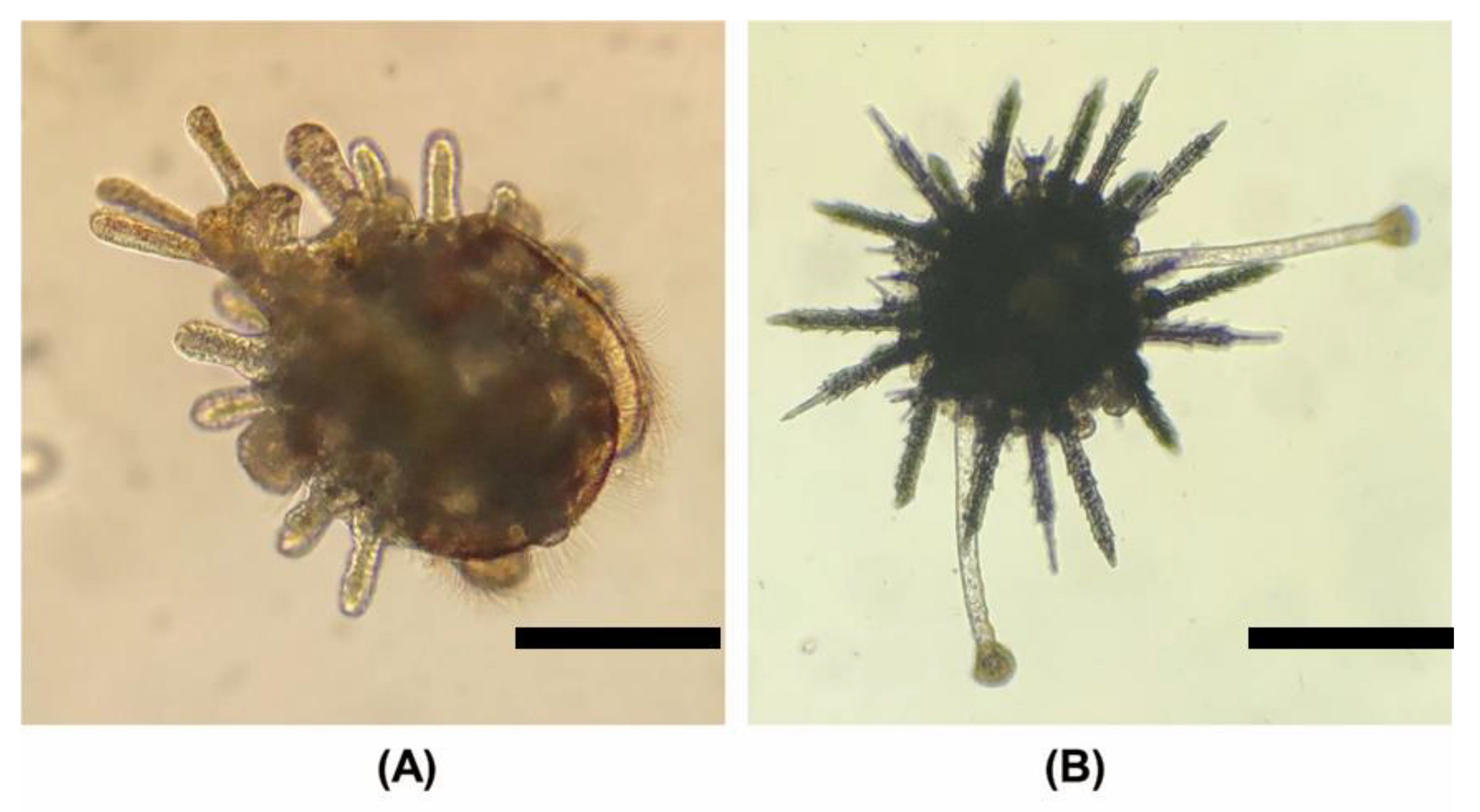 Fishes 08 00278 g008