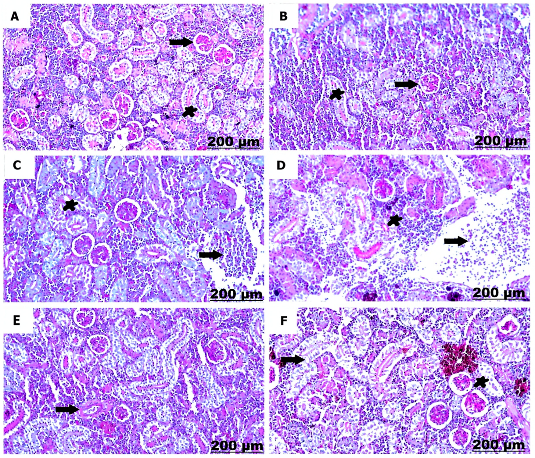 Fishes 08 00298 g008