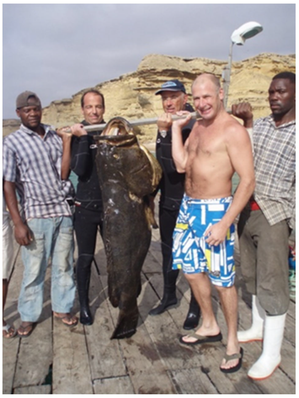 Fishes 08 00318 g002