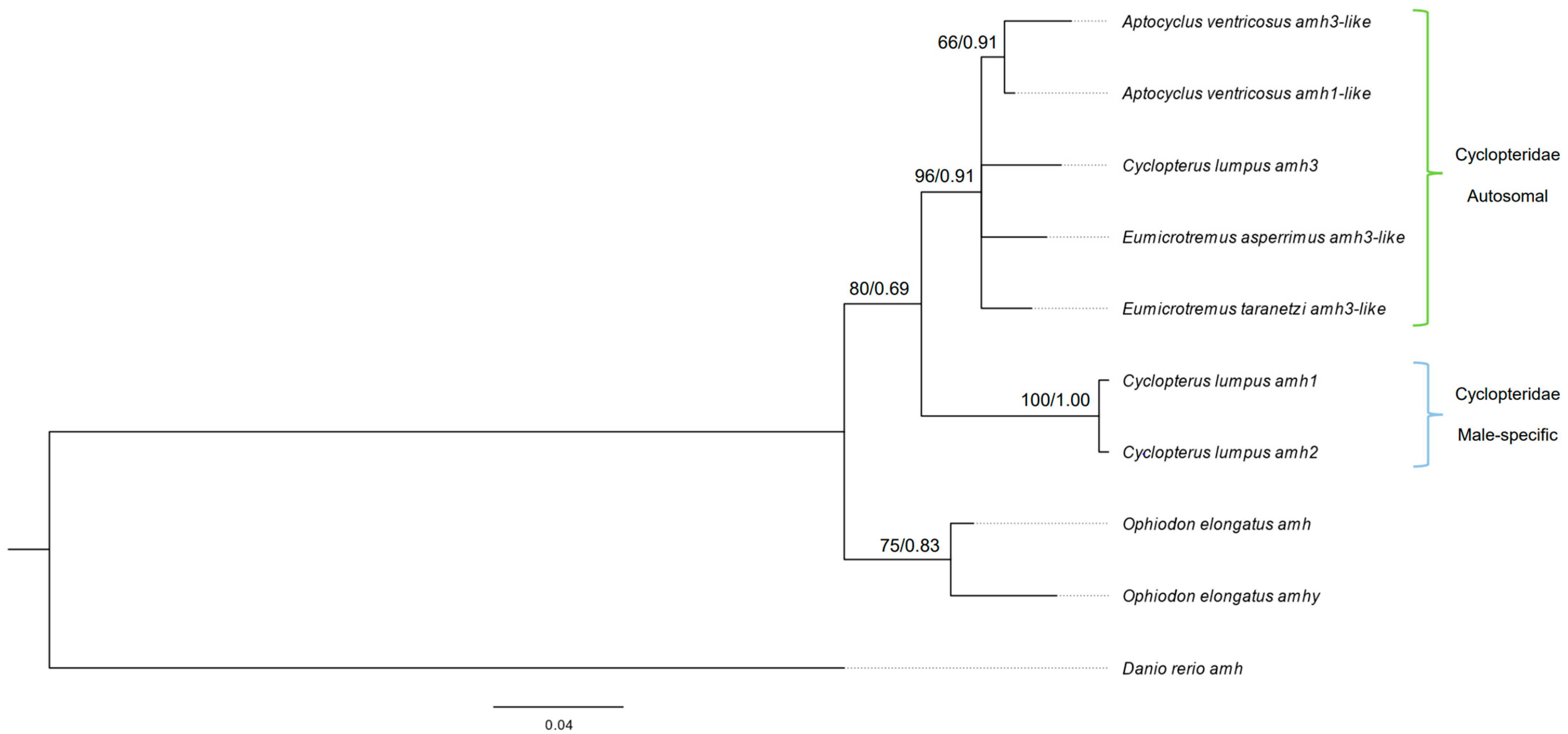 Fishes 08 00327 g003