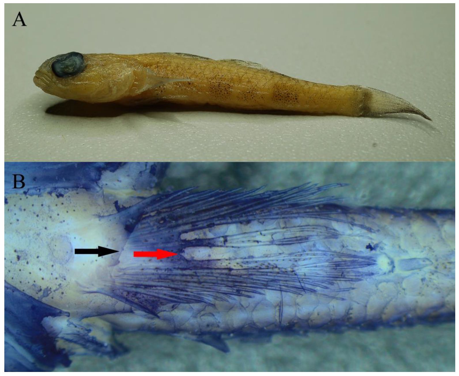 Fishes 08 00331 g004