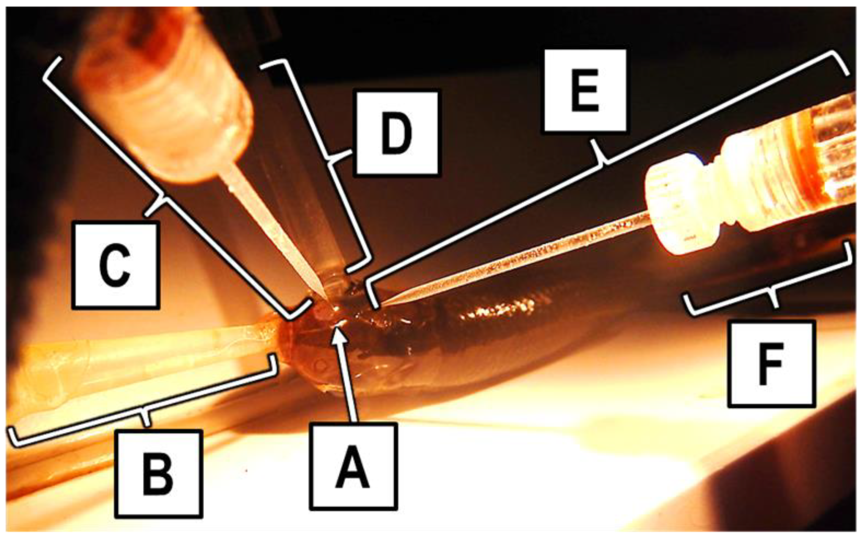 Fishes 08 00334 g002