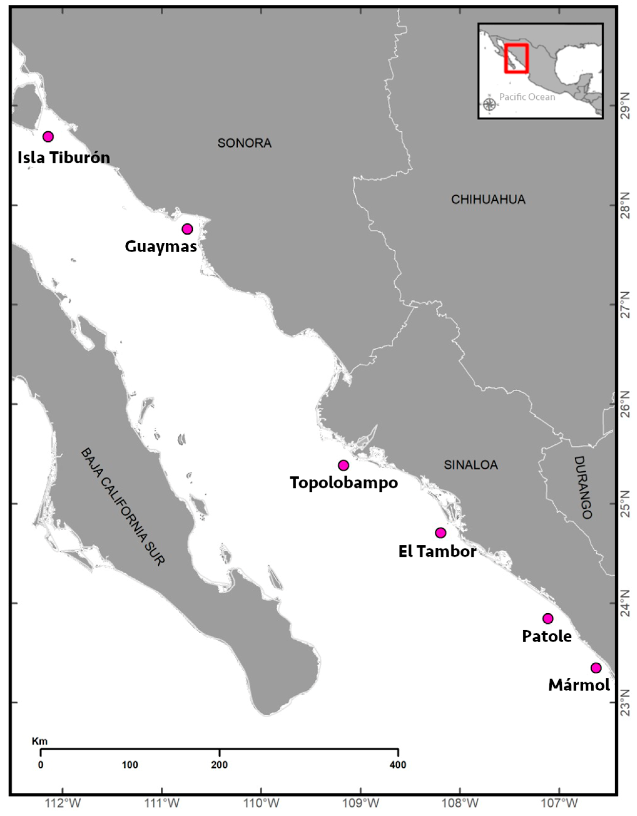 Fishes 08 00336 g001 Fishes 08 00336 g001