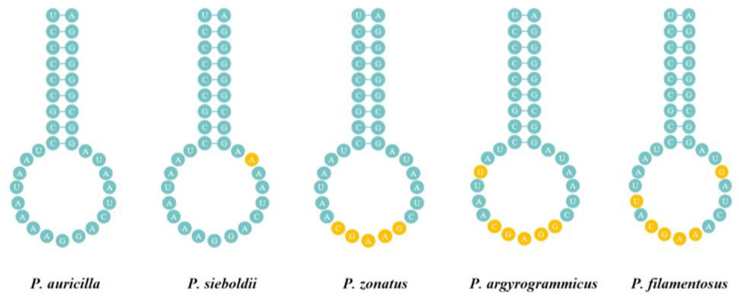 Fishes 08 00343 g008