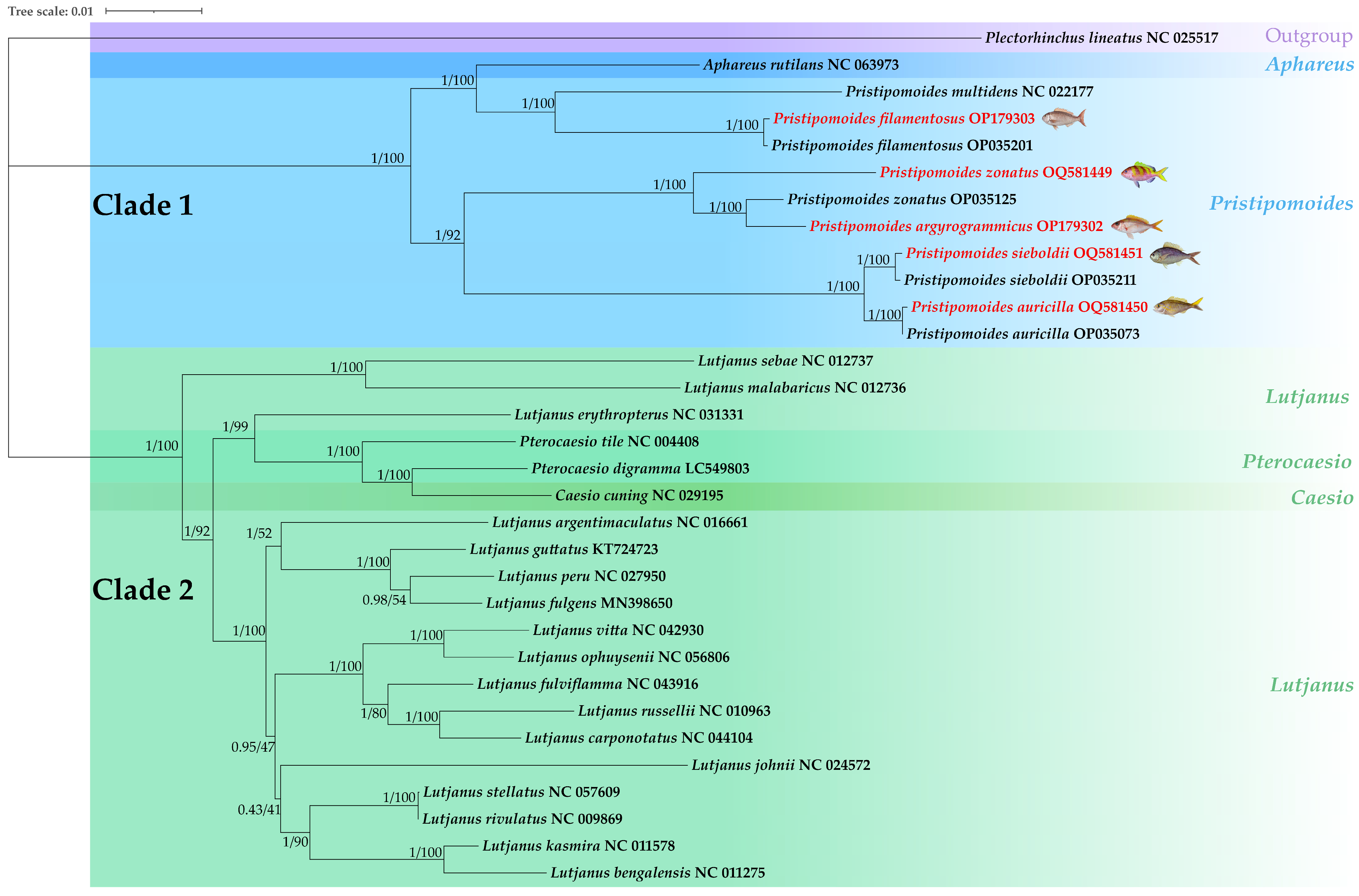 Fishes 08 00343 g009