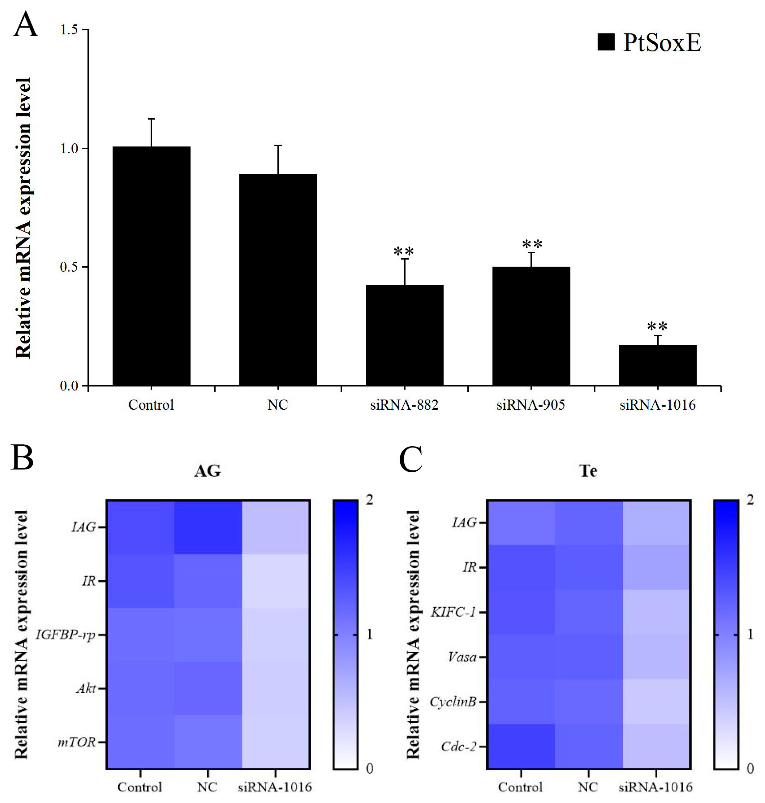 Fishes 08 00351 g004 Fishes 08 00351 g004