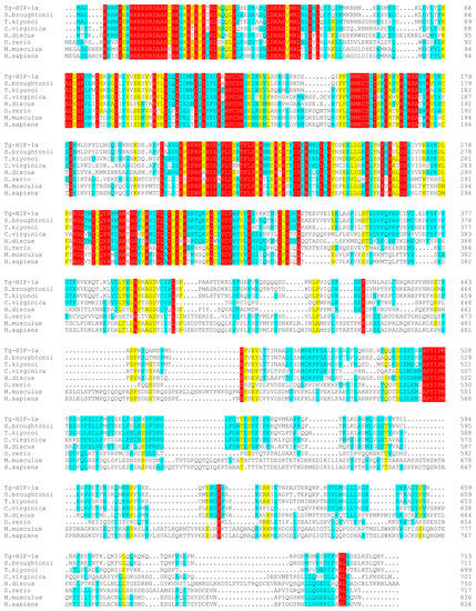 Fishes 08 00359 g0a4