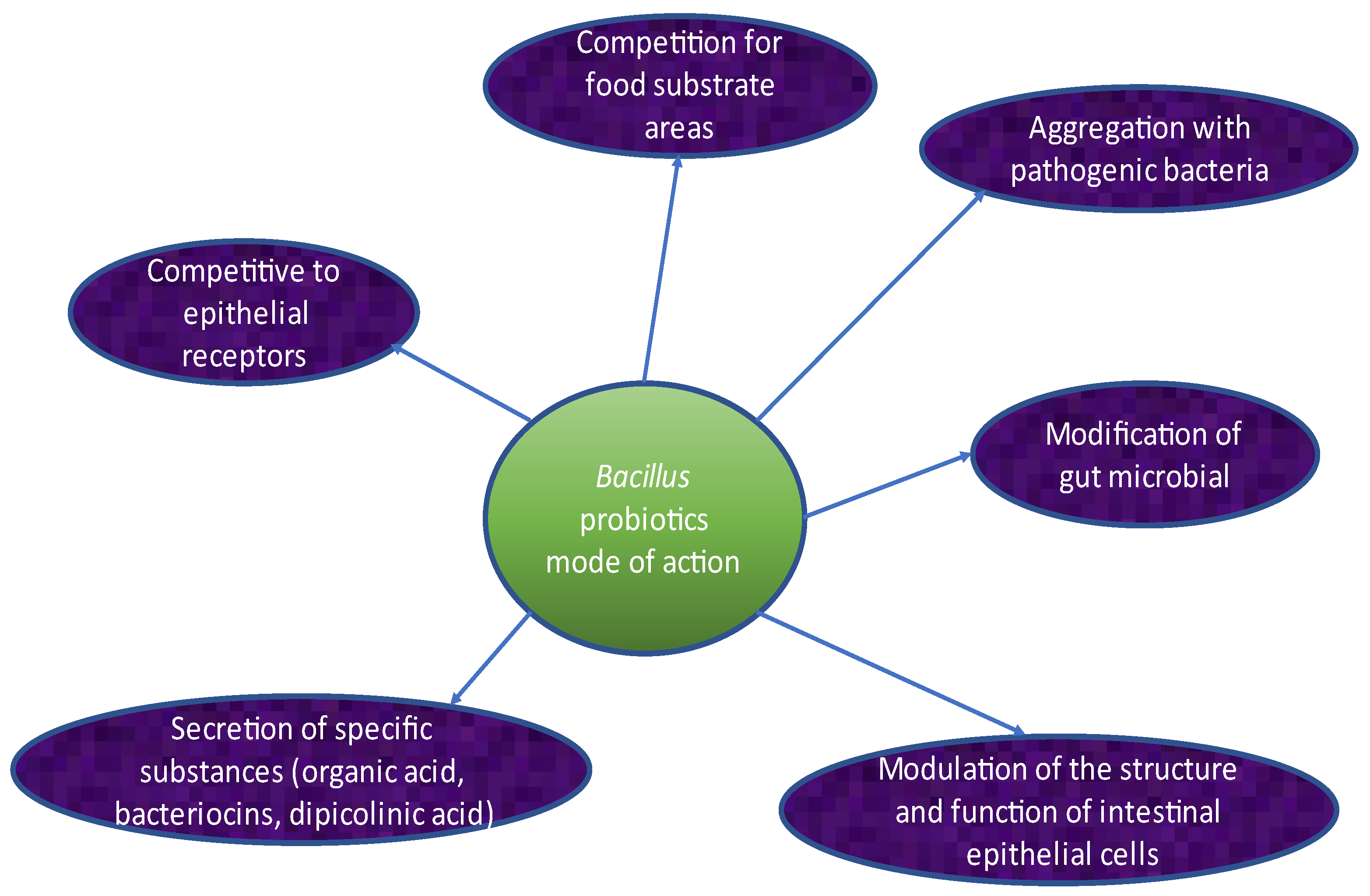 Fishes 08 00366 g001