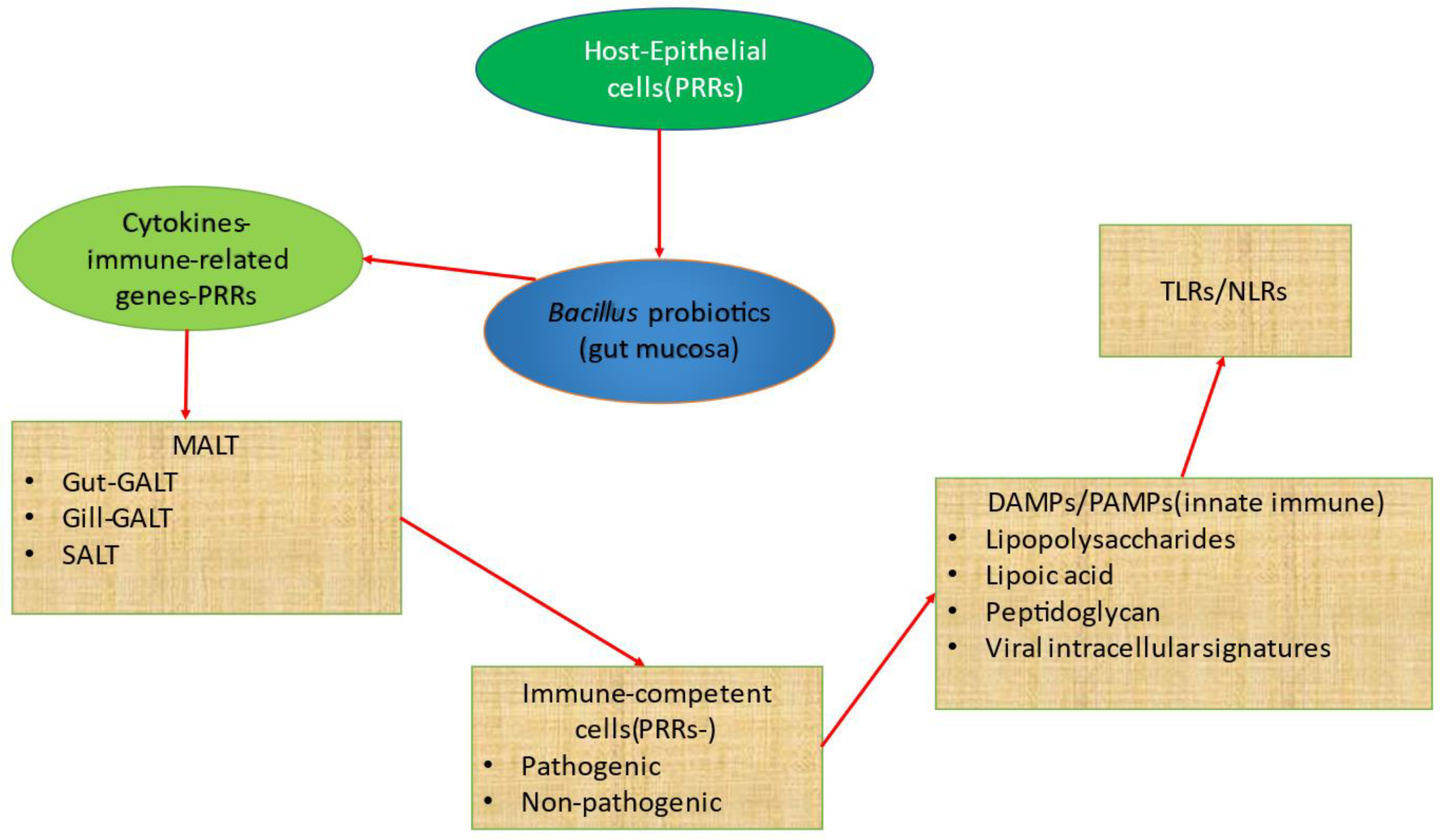 Fishes 08 00366 g002