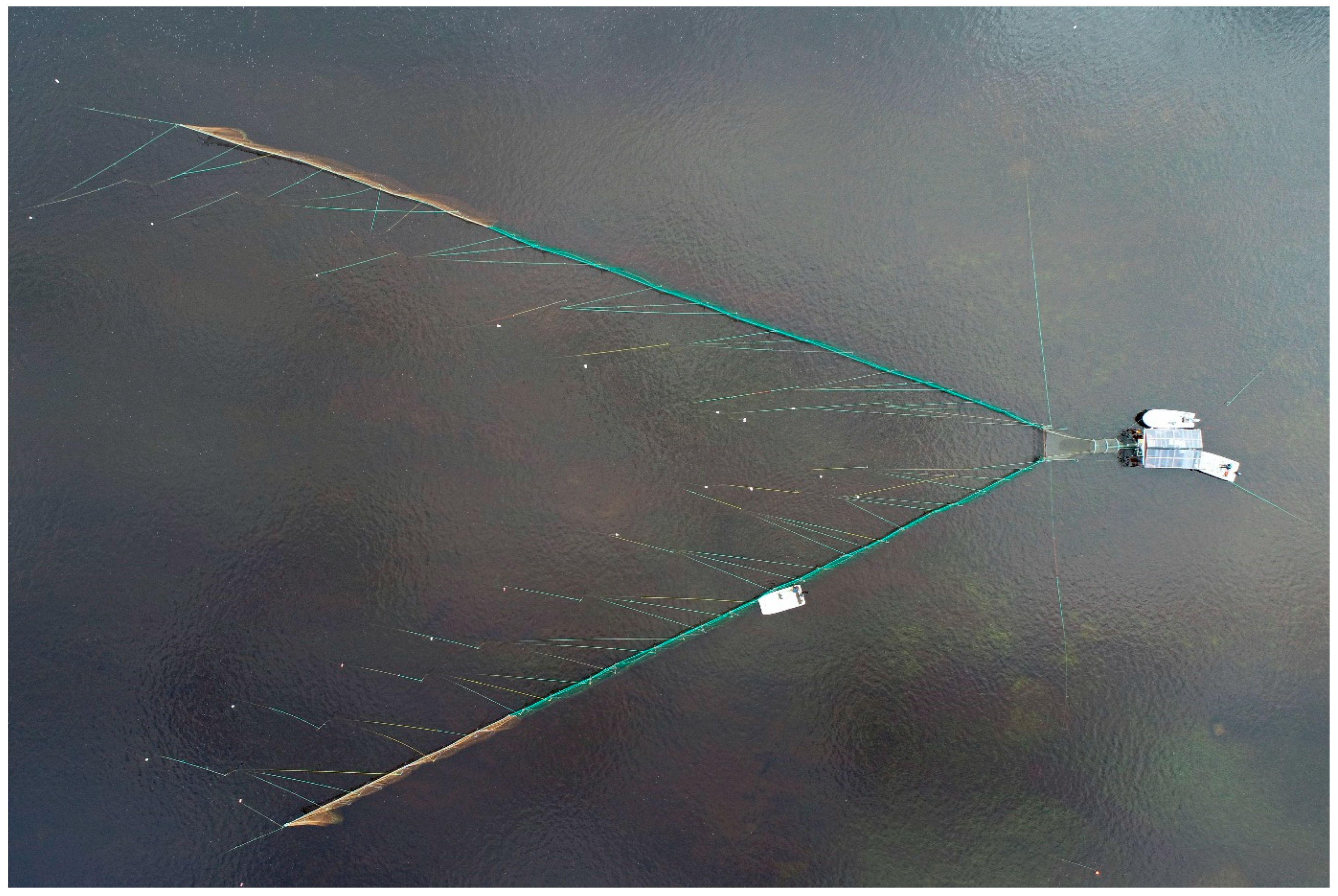 Fishes 08 00382 g002