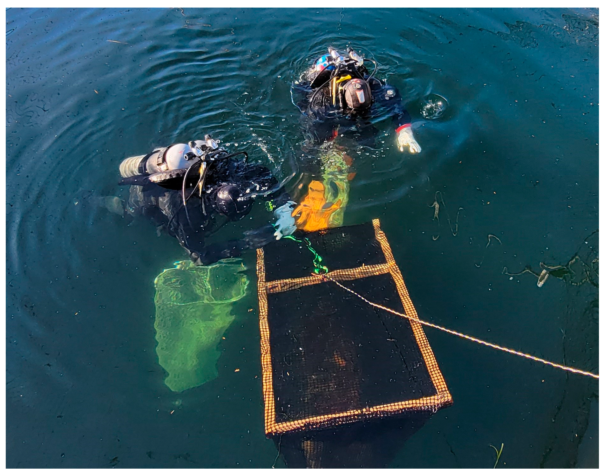 Fishes 08 00430 g002