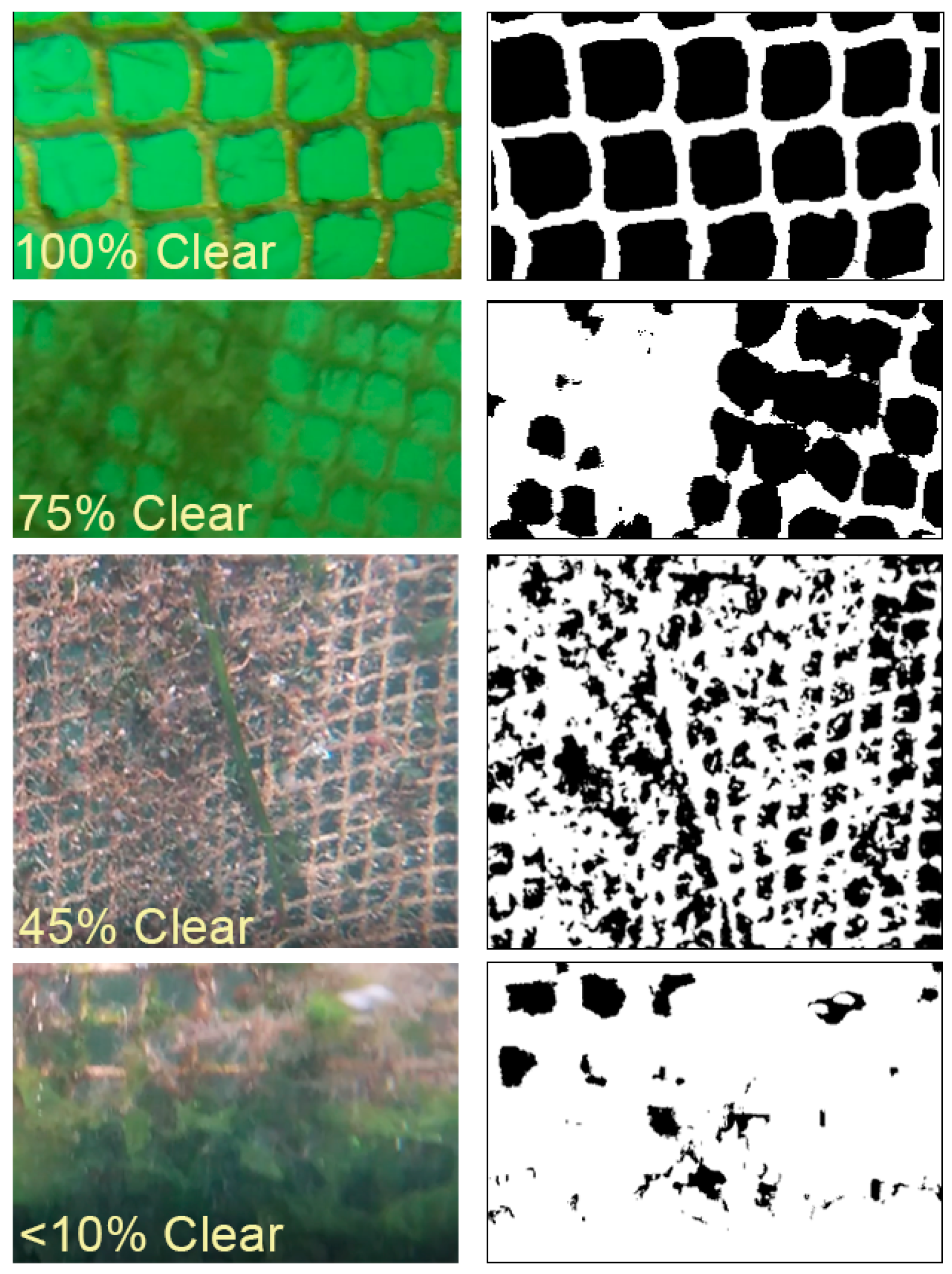 Fishes 08 00430 g003