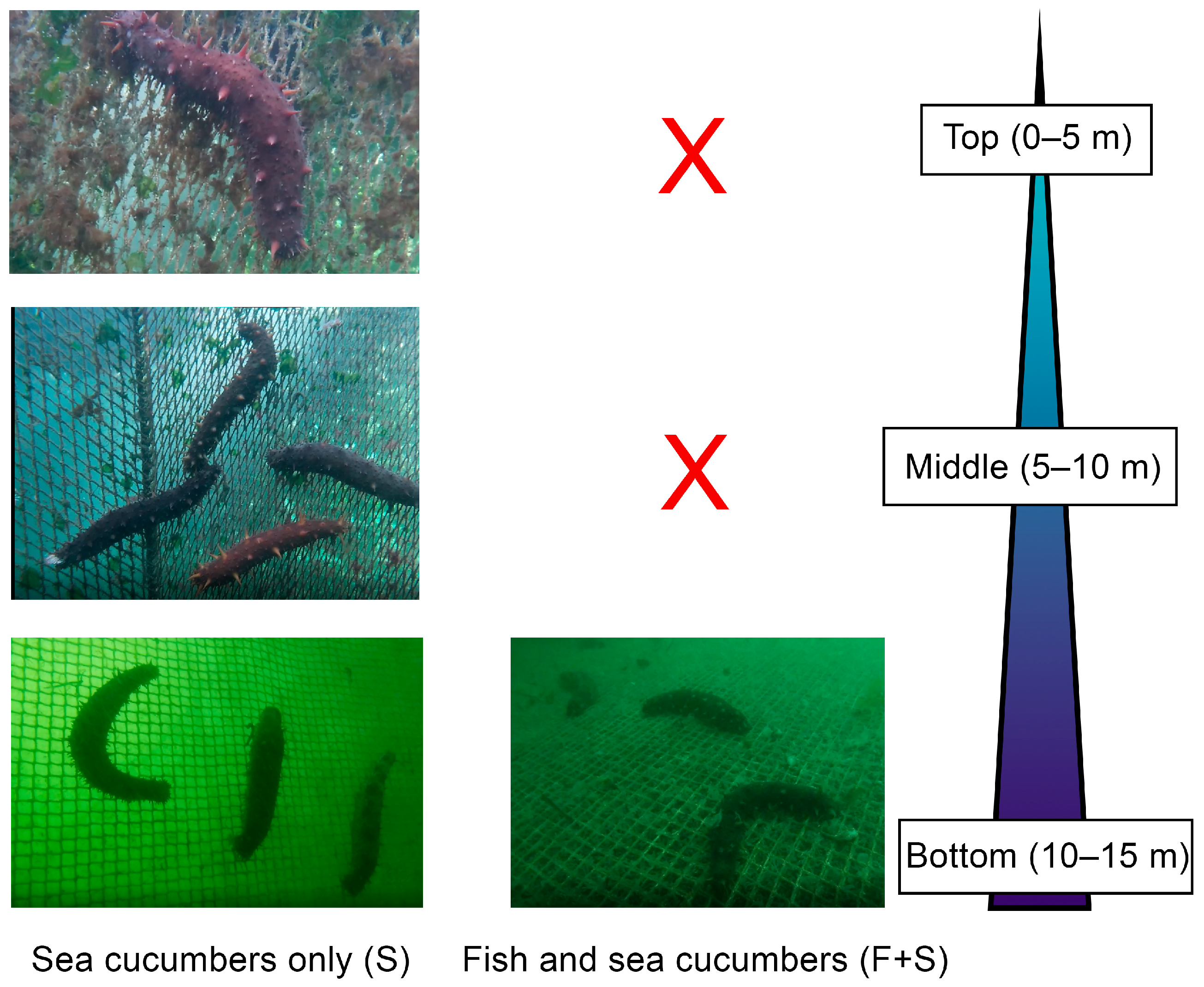 Fishes 08 00430 g006