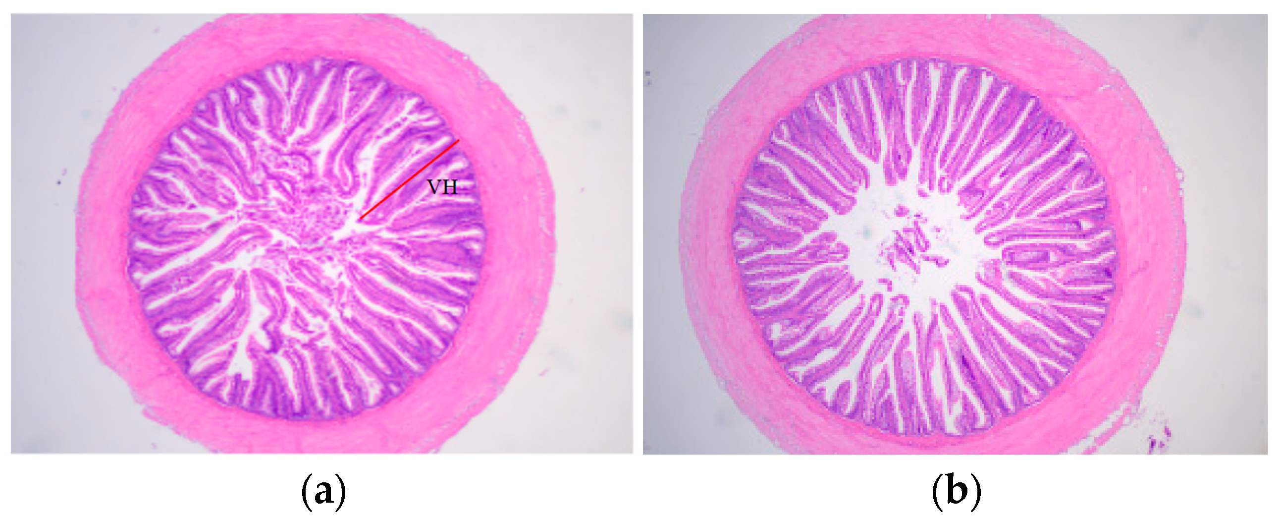 Fishes 08 00431 g001