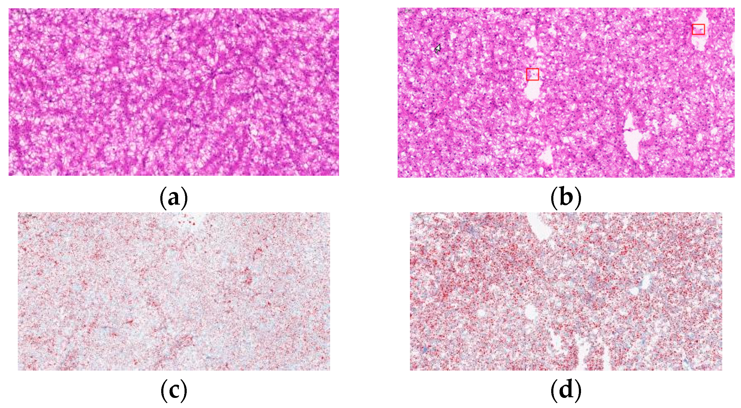 Fishes 08 00431 g002