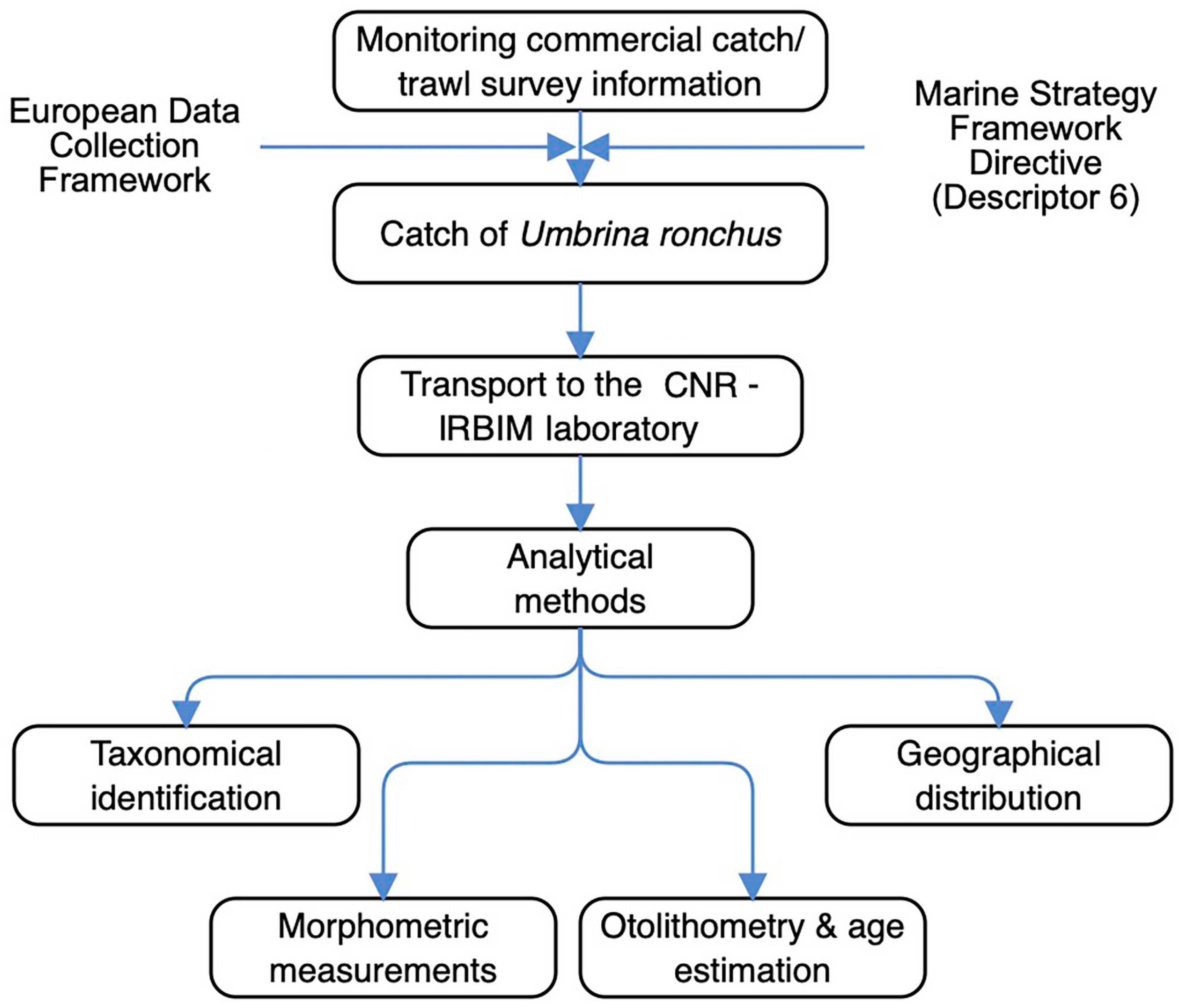 Fishes 08 00434 g001
