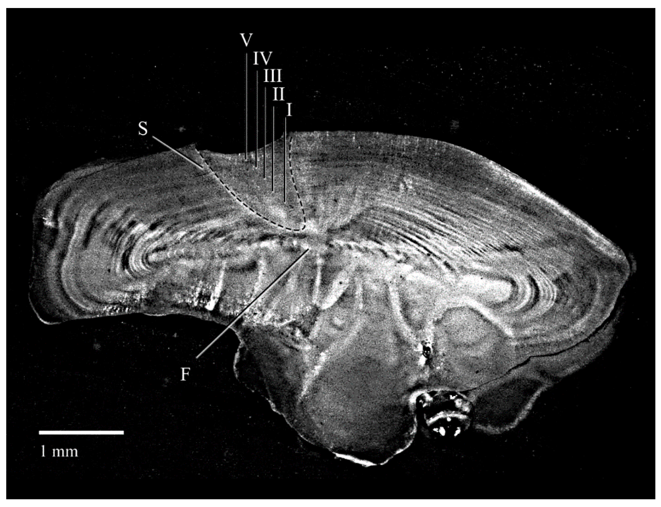 Fishes 08 00434 g004