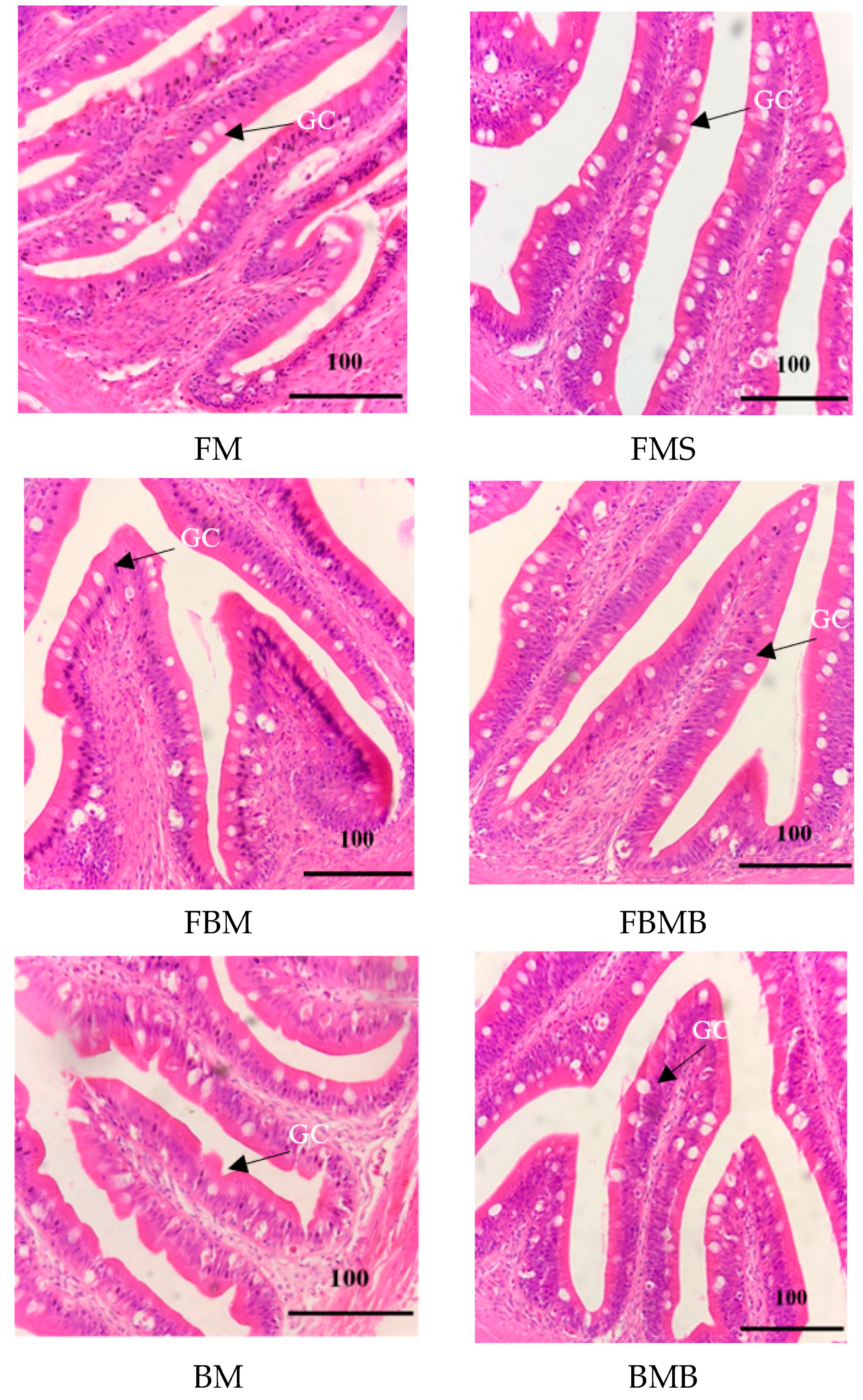 Fishes 08 00437 g002
