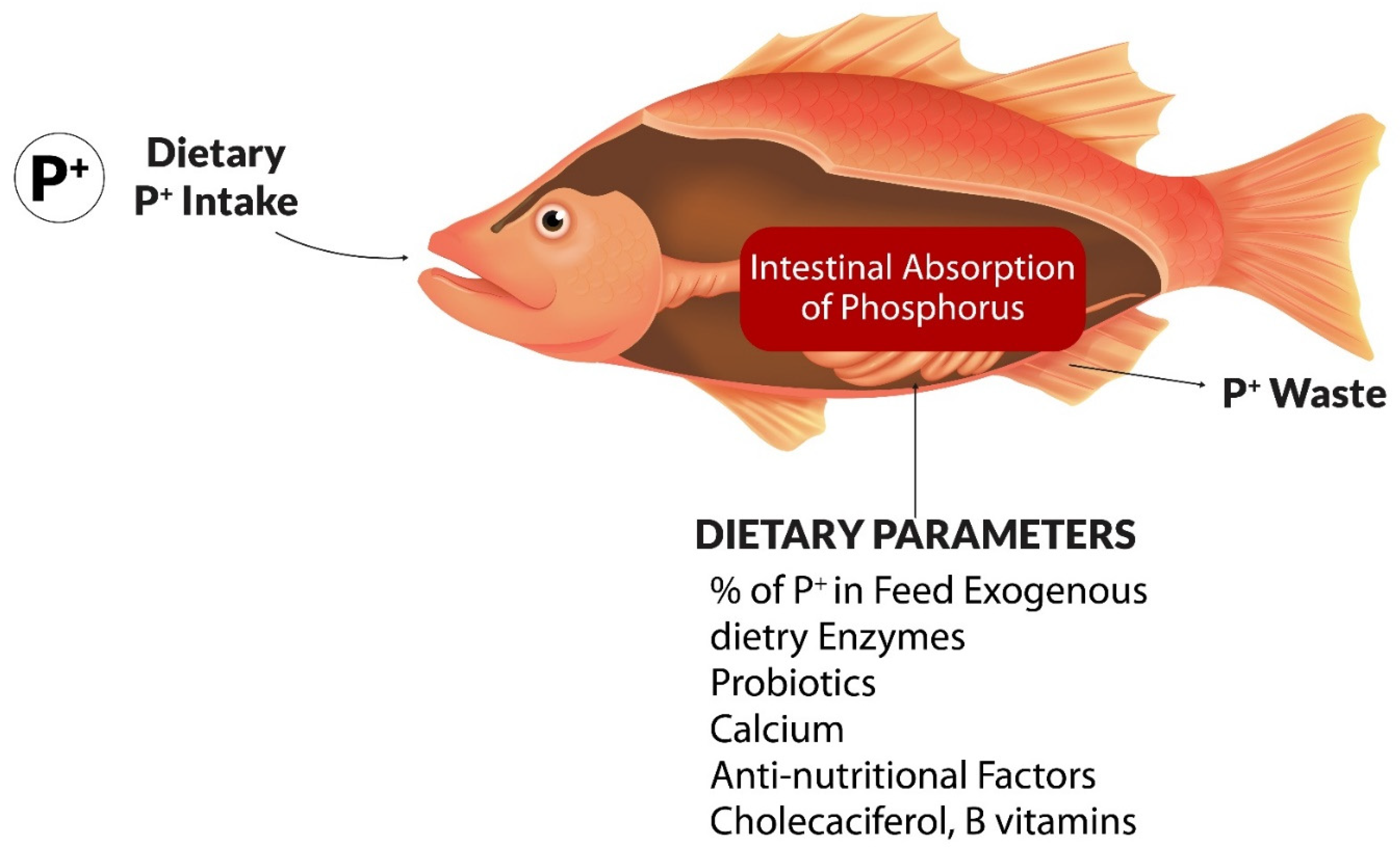 Fishes 08 00442 g002 Fishes 08 00442 g002