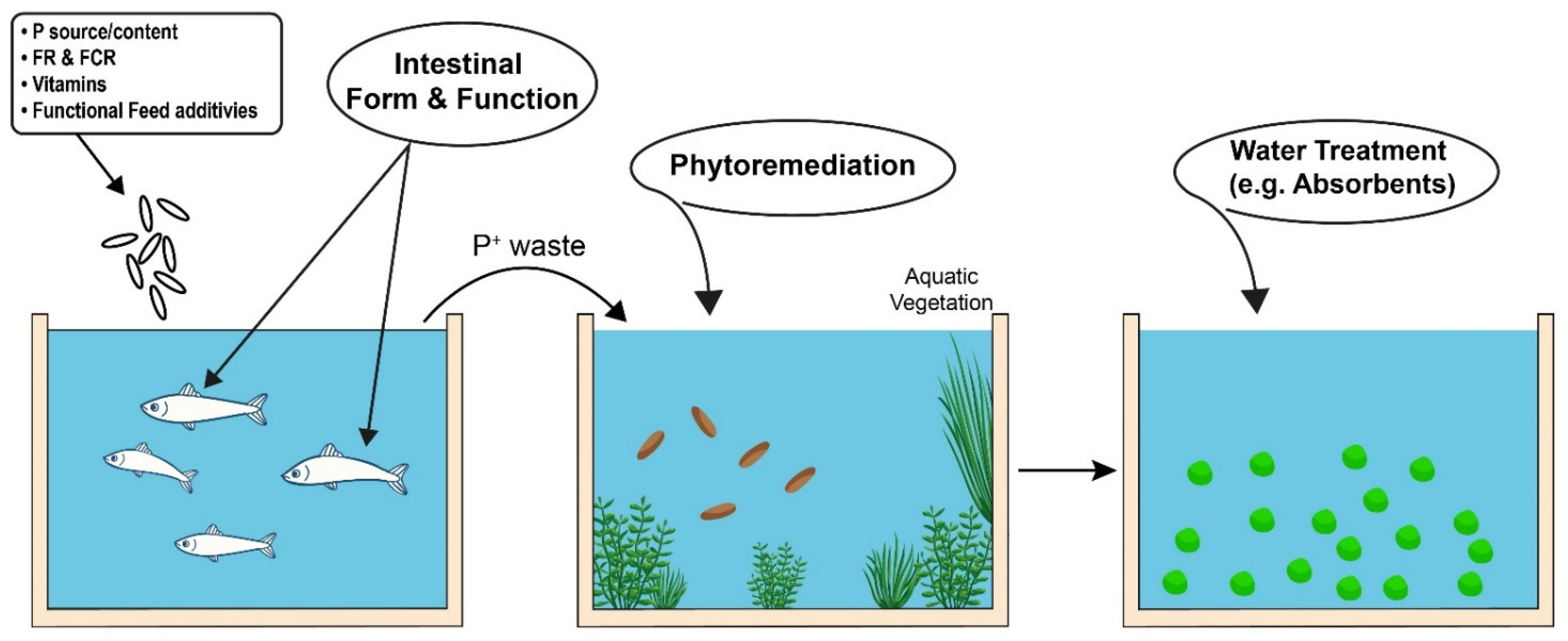 Fishes 08 00442 g003 Fishes 08 00442 g003