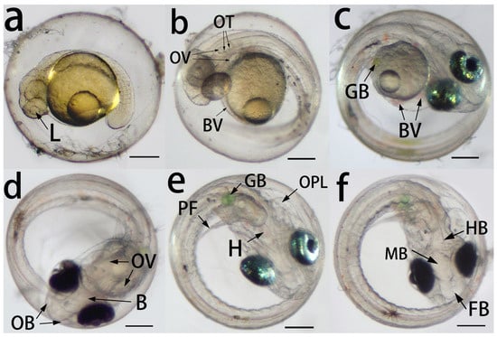 Fishes 08 00451 g004