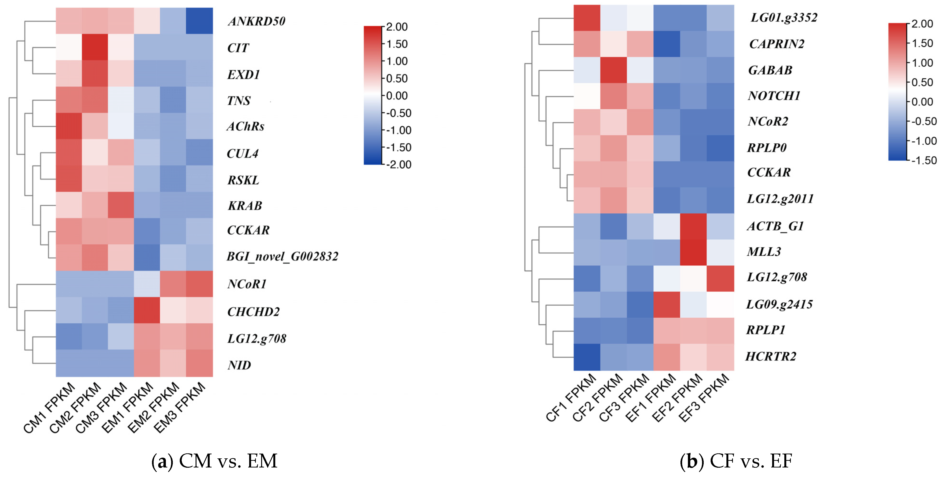 Fishes 08 00456 g004