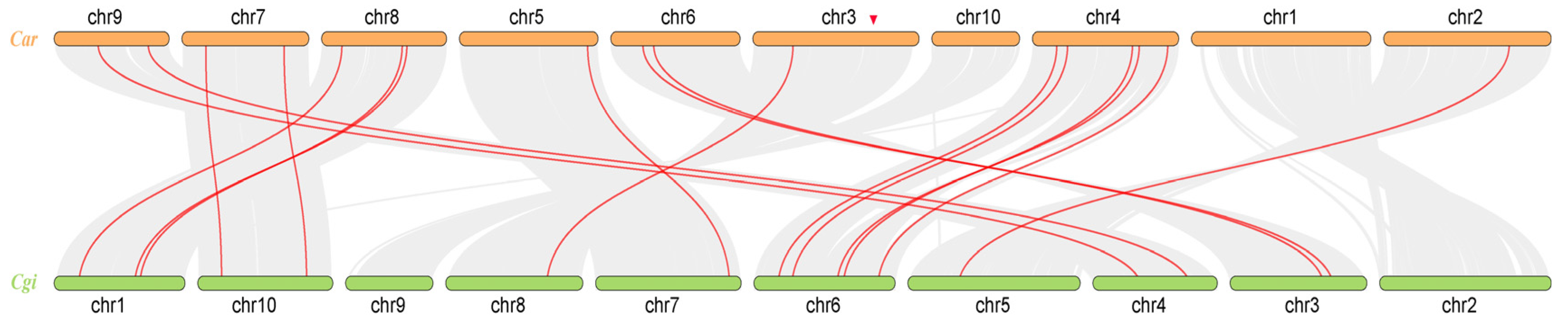 Fishes 08 00459 g002