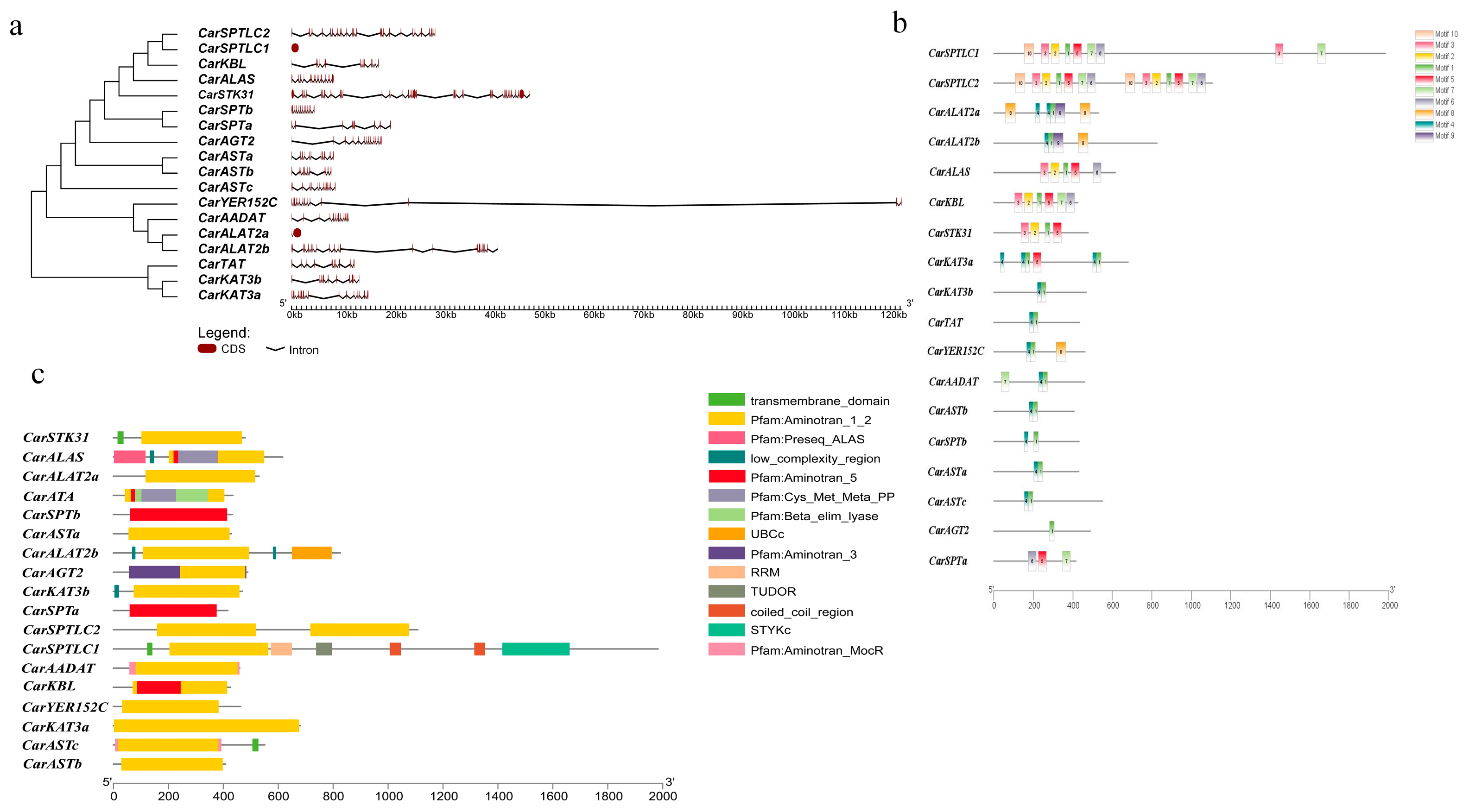 Fishes 08 00459 g003