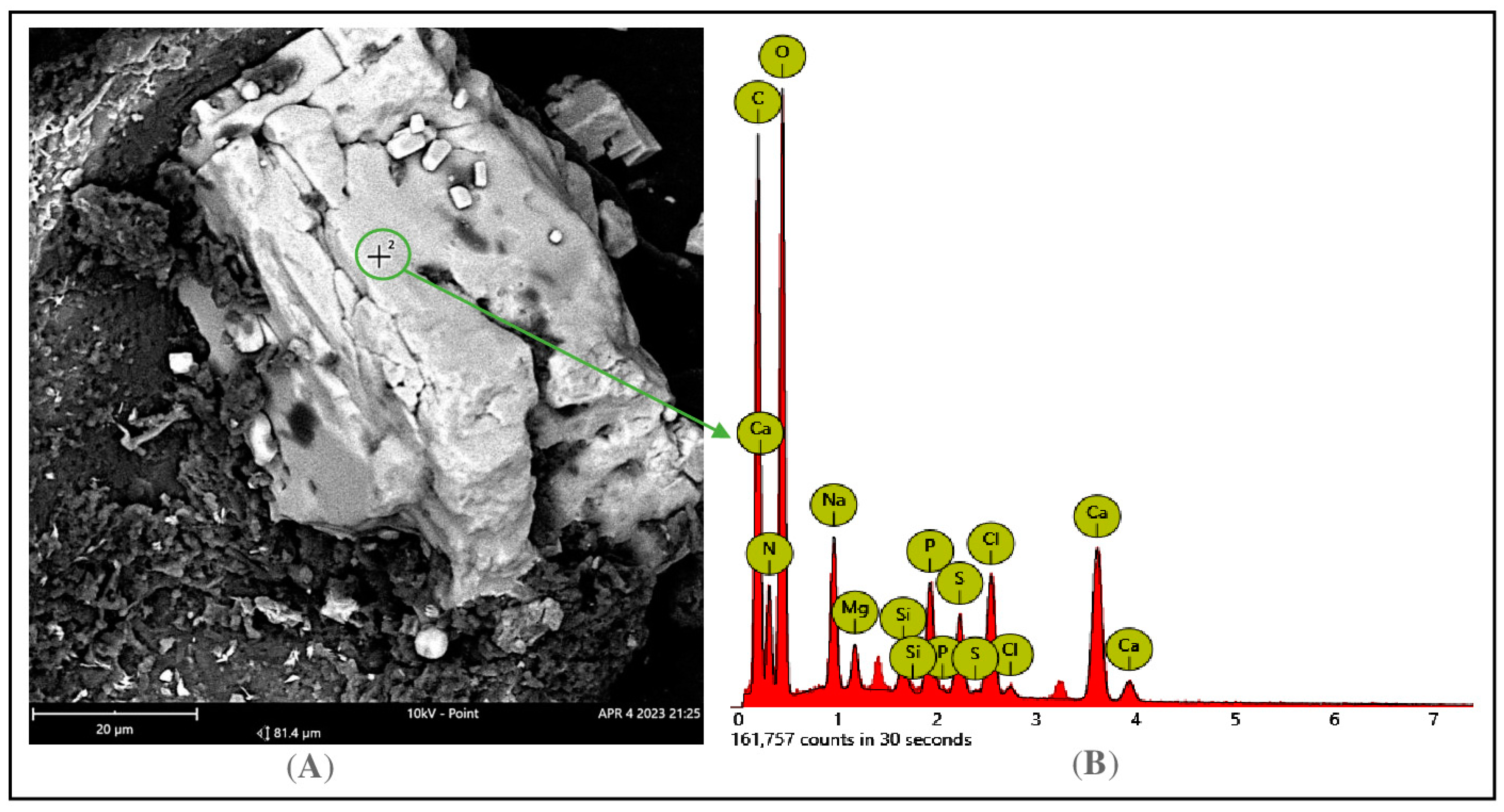 Fishes 08 00468 g002