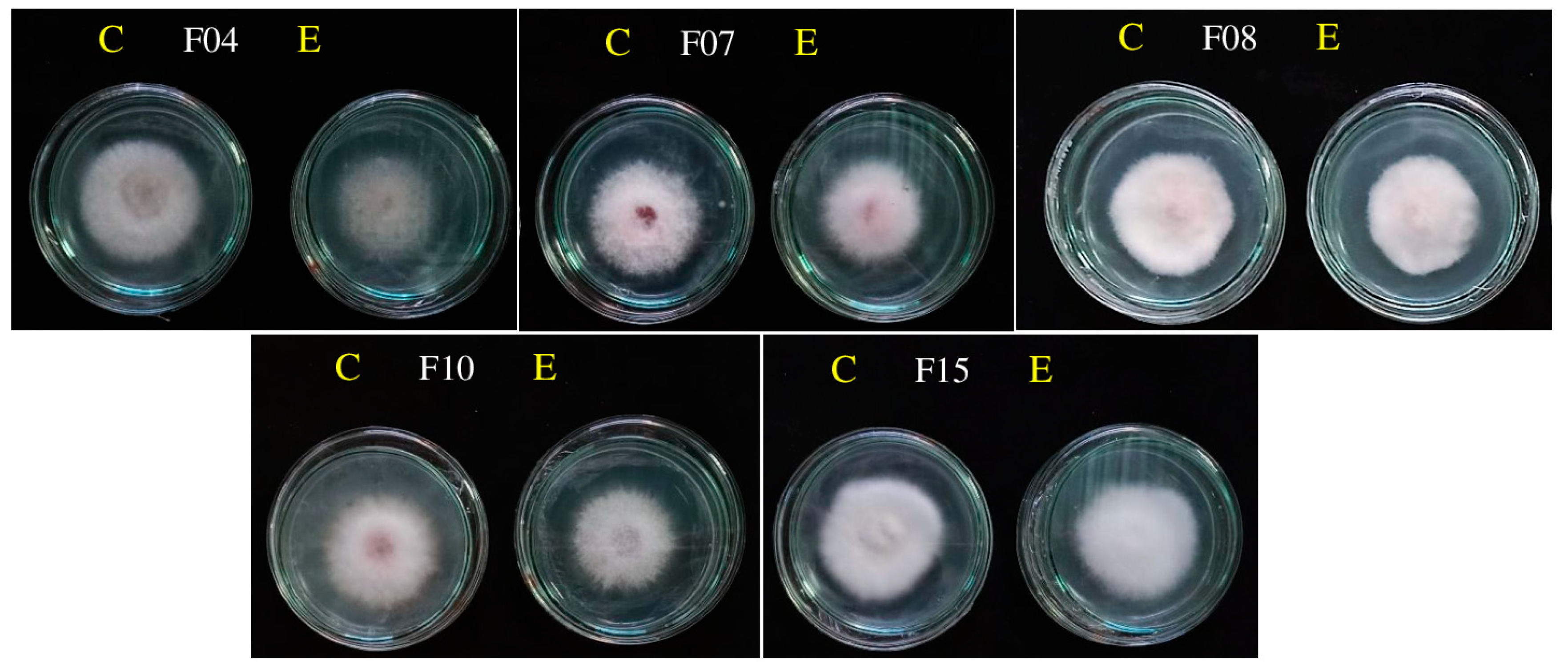 Fishes 08 00468 g006