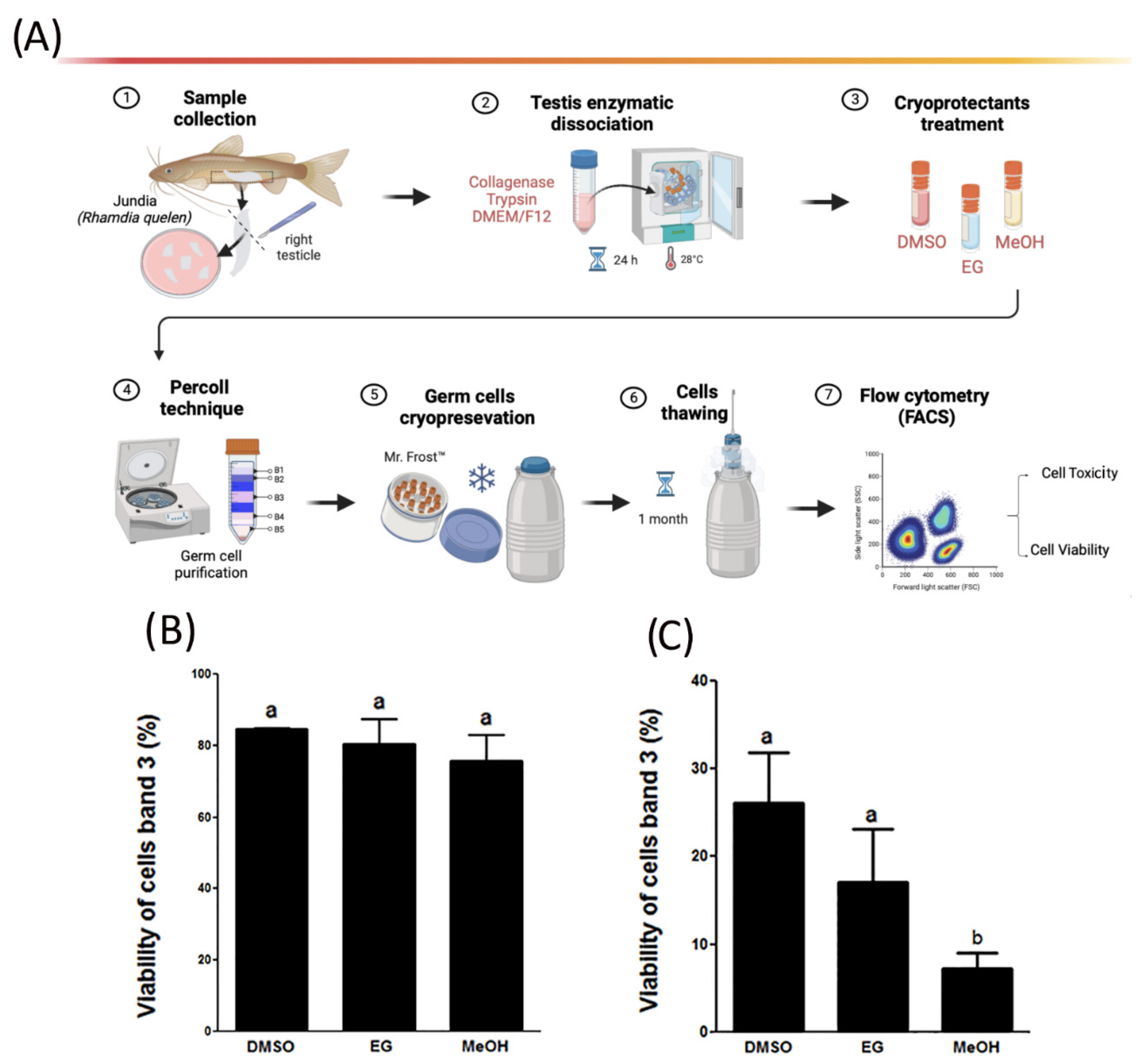 Fishes 08 00478 g002