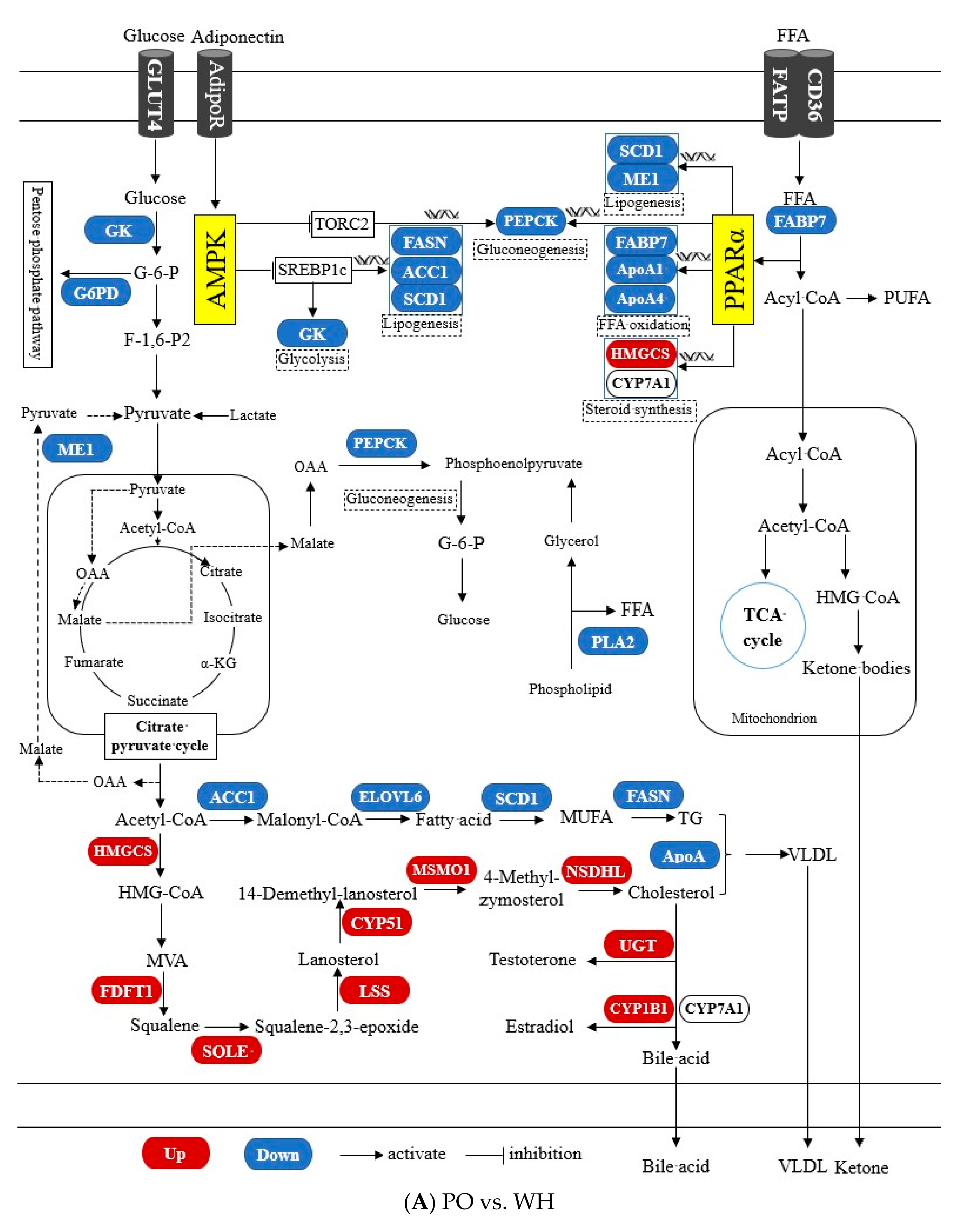 Fishes 08 00495 g005a