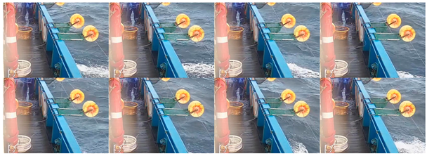 Fishes 08 00502 i001