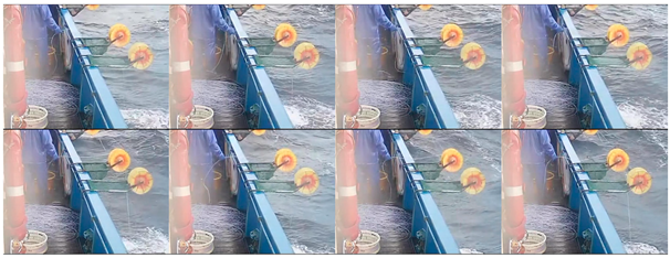 Fishes 08 00502 i004