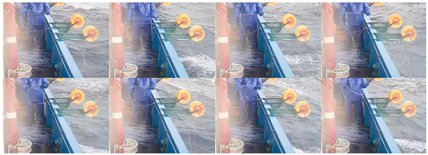 Fishes 08 00502 i008