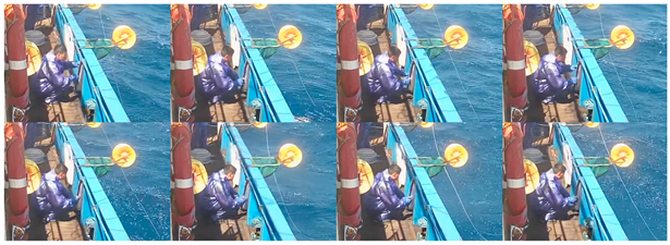 Fishes 08 00502 i009