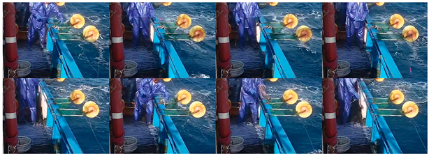 Fishes 08 00502 i011