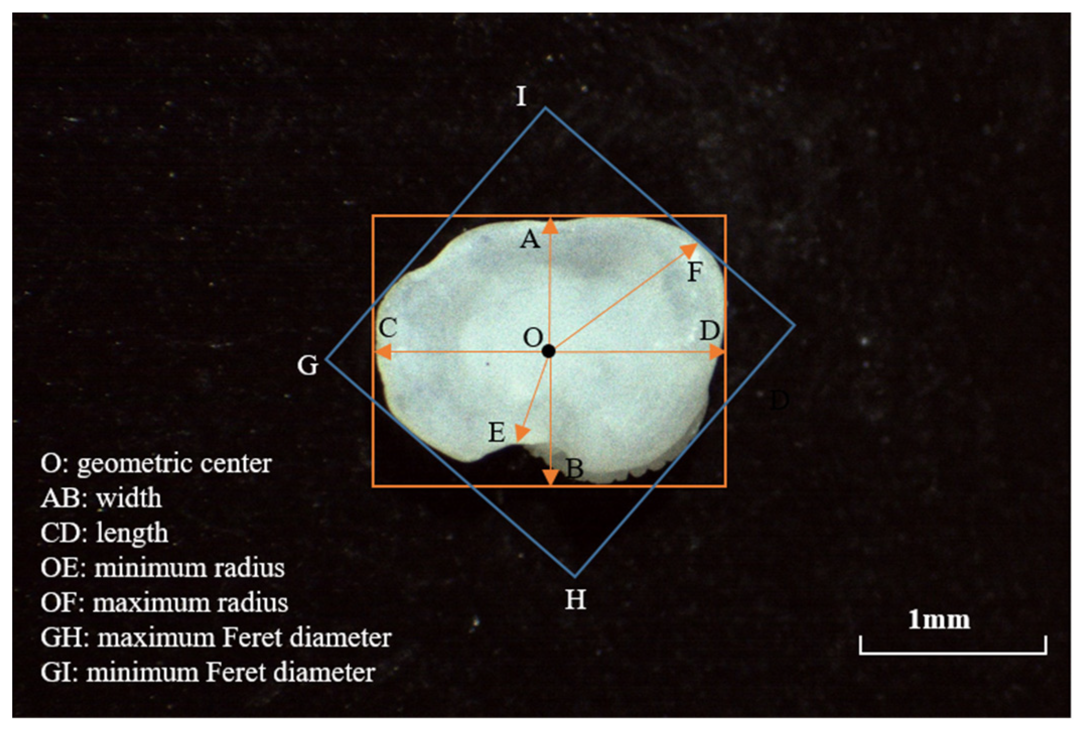 Fishes 08 00504 g003