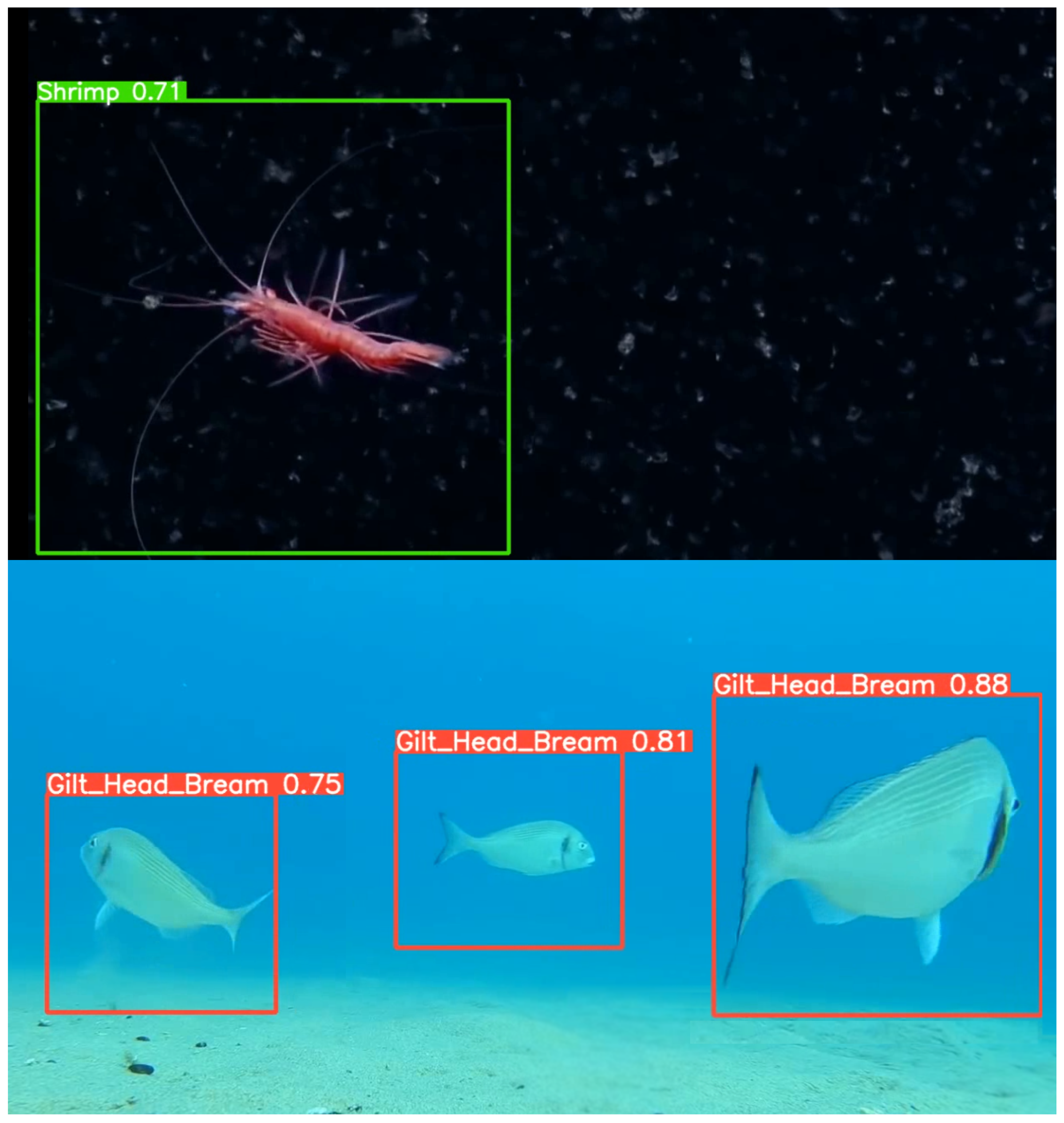 Fishes 08 00514 g010