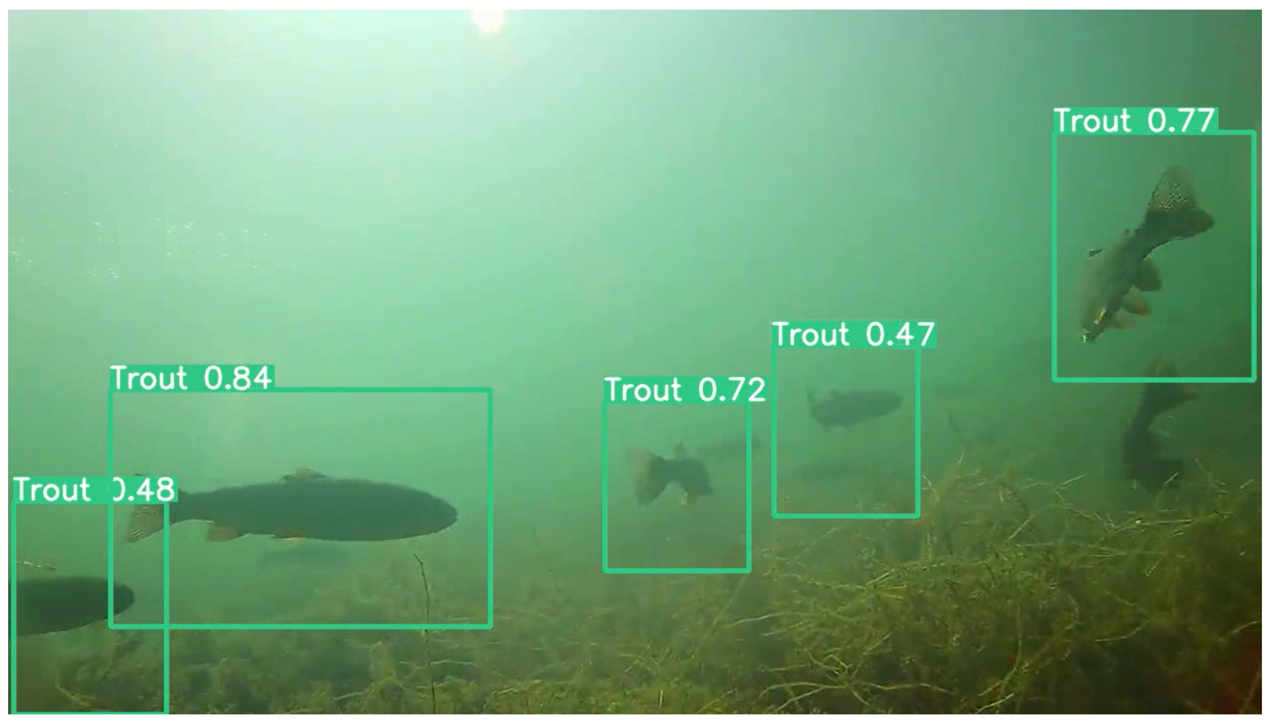 Fishes 08 00514 g011